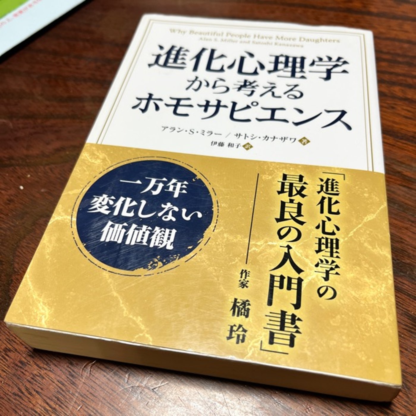 #656 家の周りの片付けと除草対応 草ボーボーになる前になんとかしないと episode artwork