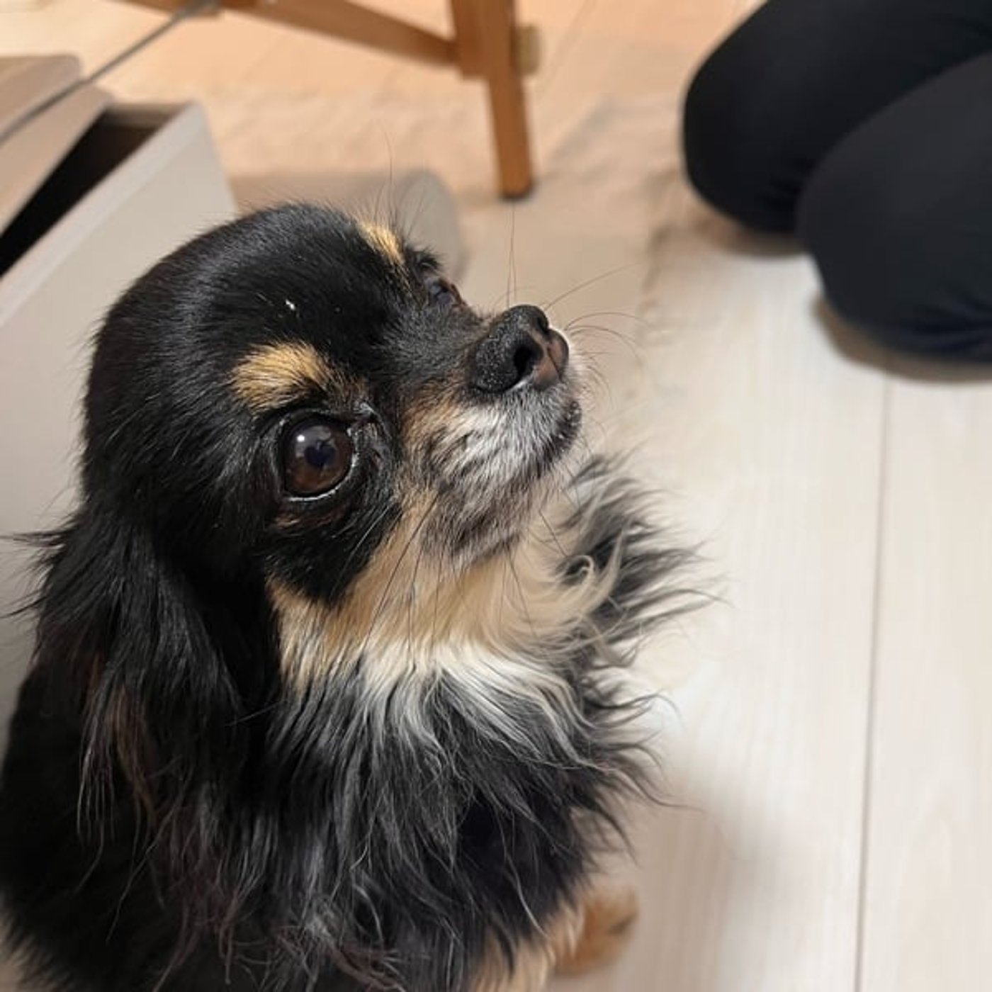 236 自分でも知らなかった私のクセ？数秘の“条件づけ”が面白すぎた話