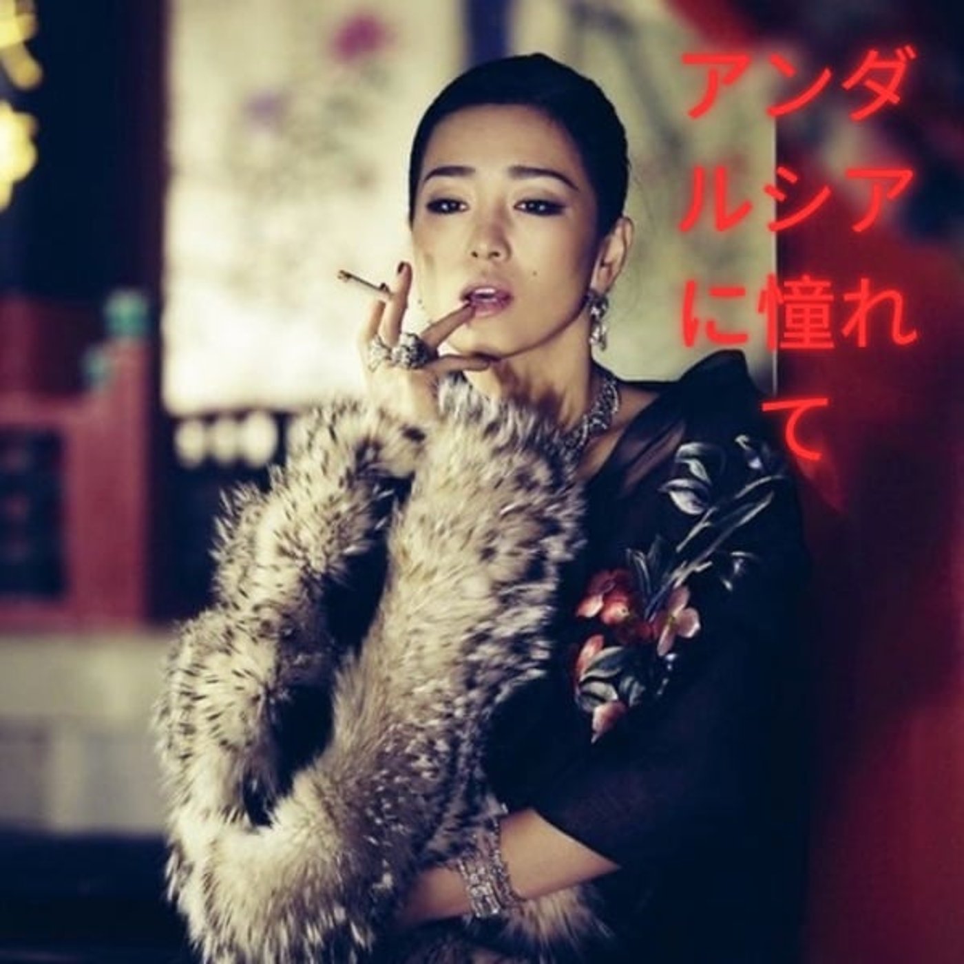 アンダルシアアンダルシア❷