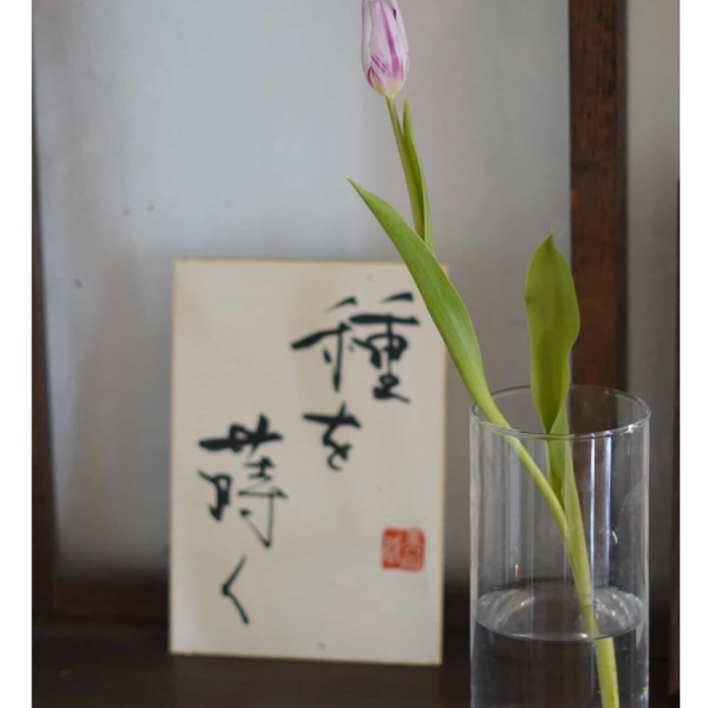 【ゲリラ対談⚡️写真家のりこさん】一人一宇宙 【ゲリラ対談⚡️写真家のりこさん】一人一宇宙