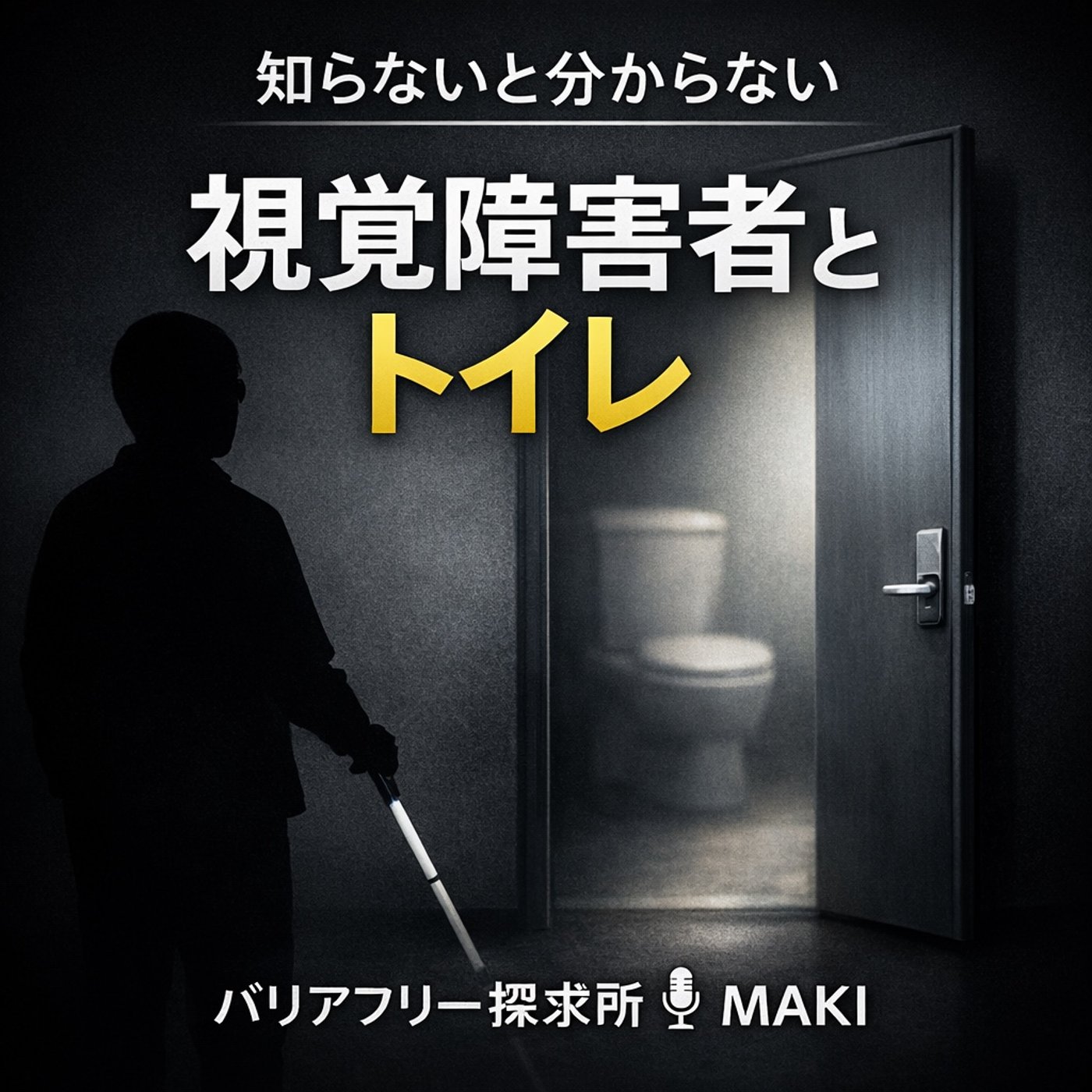 767.ニュースでは見えない、視覚障害者のトイレ事情