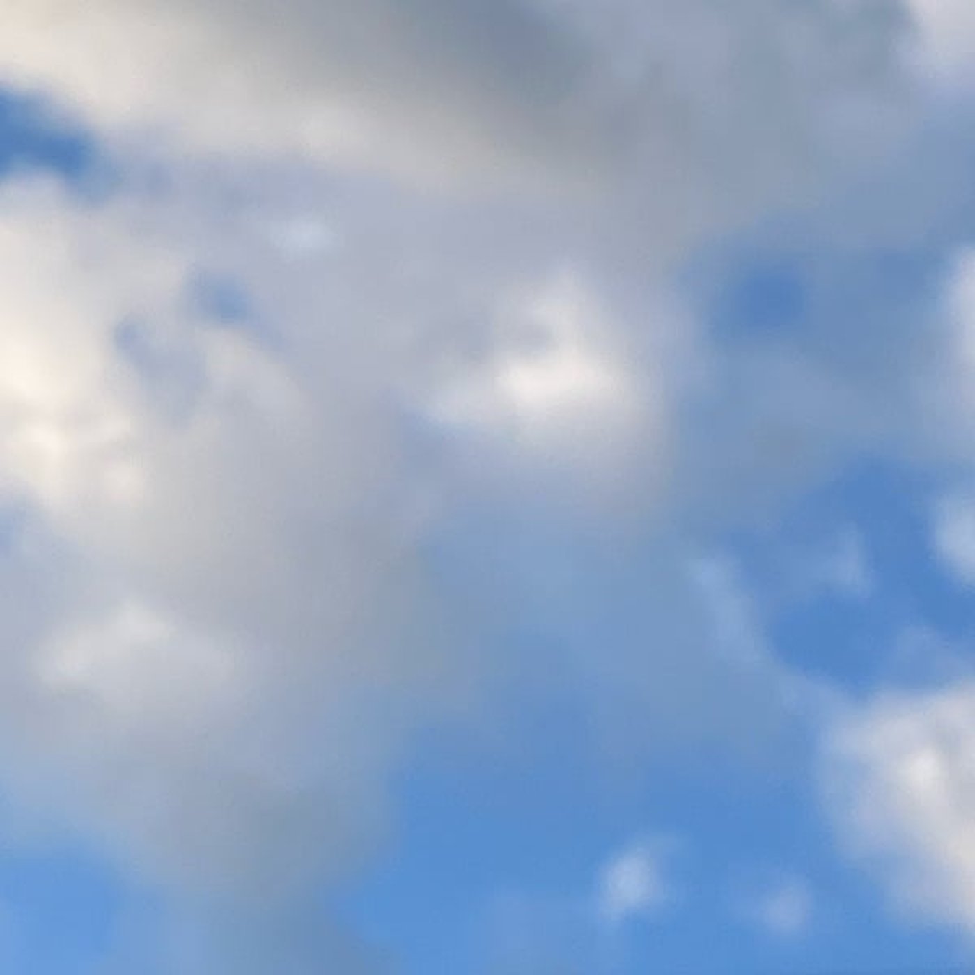 238 chatを信じて👉 先に買ったらアウトでした…助成金の現実