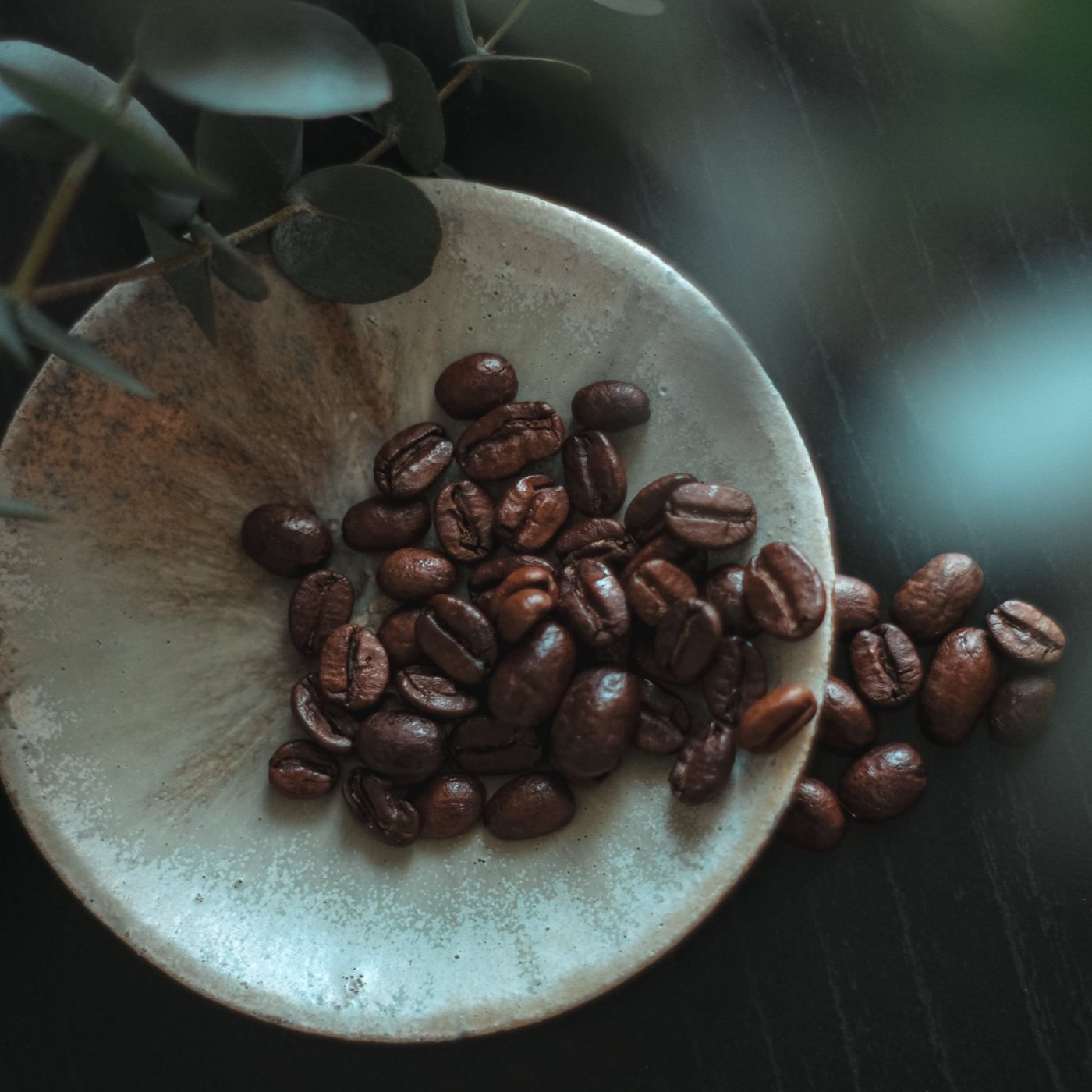 #35 沖縄で出会った、豆じゃないコーヒーの話