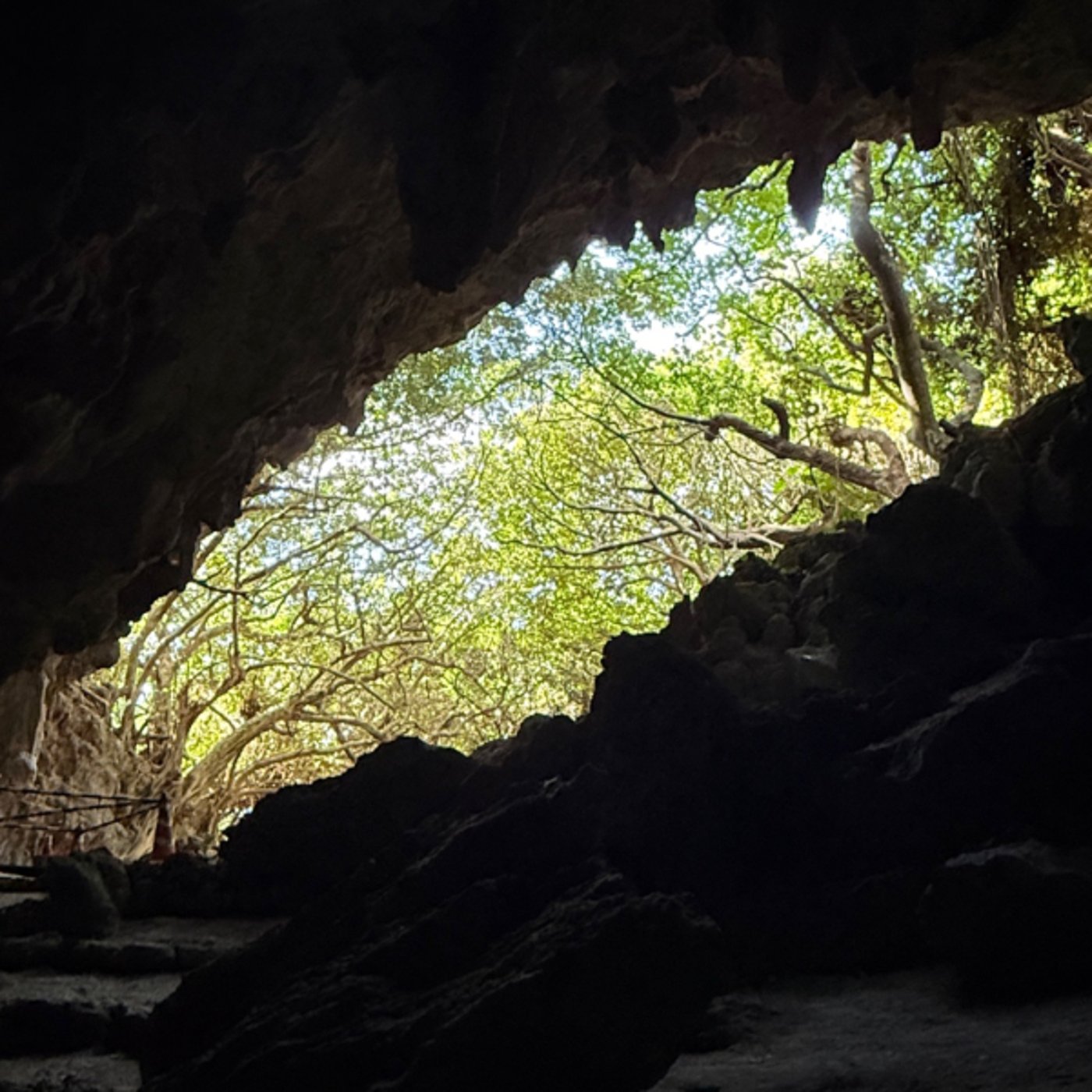 ã¢ããã°ã³ããã±ãŒã·ã§ã³ã®ã¹ã¹ã¡ ã¢ããã°ã³ããã±ãŒã·ã§ã³ã®ã¹ã¹ã¡