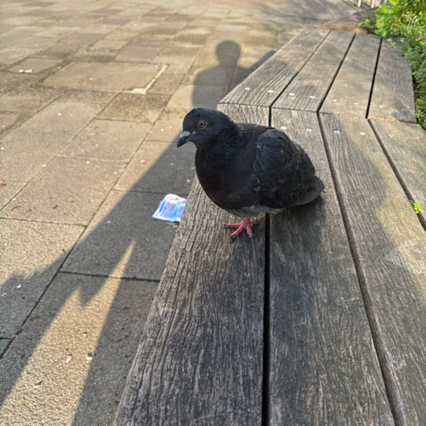 公園で1人でお酒を飲んでいます