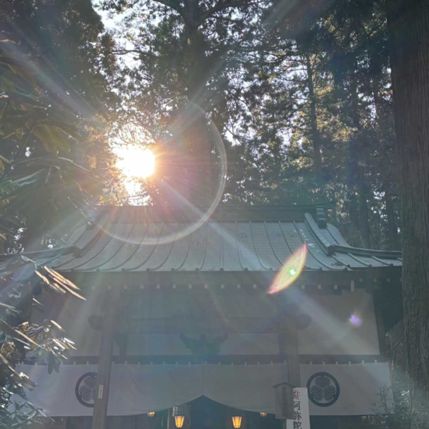 珍しく朝Live