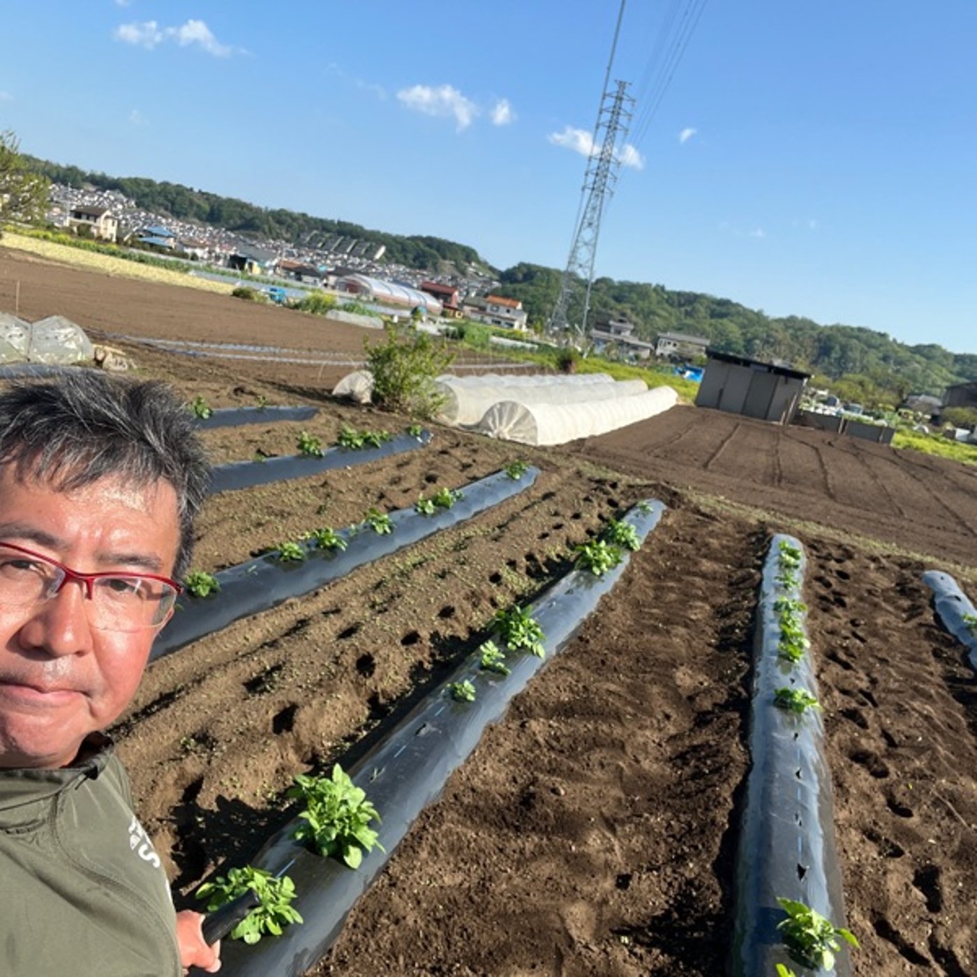 #691 のらぼうな収穫の後は、補助金申請いろいろ 電気柵に空調服 助かります episode artwork