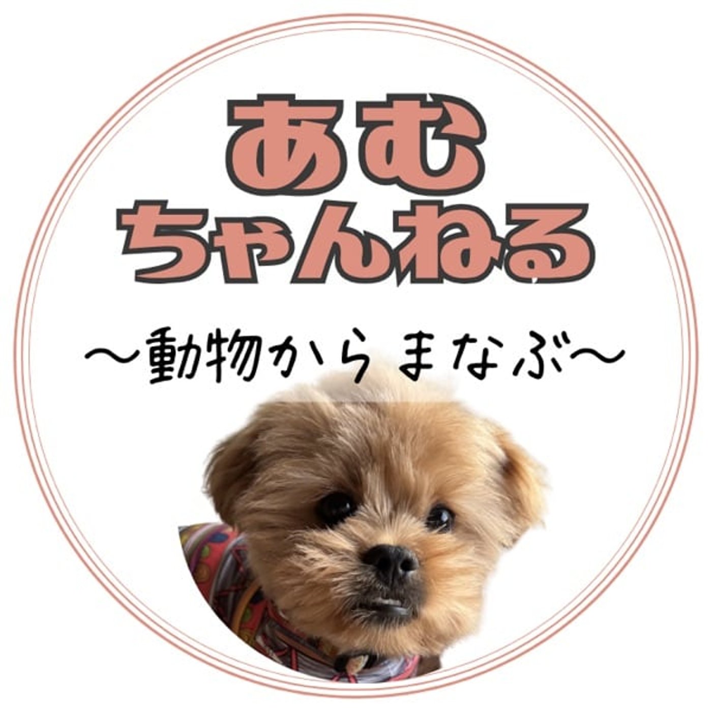 「動物からまなぶ」vol.1 【KIN132】2026.4.20 (#2) episode artwork