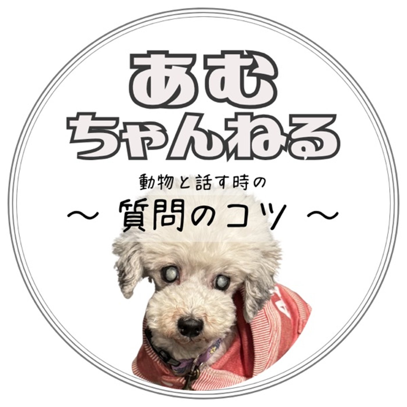 ライブ配信 ～動物さんへ質問のコツ～【KIN133】 2026.4.21(#3) episode artwork