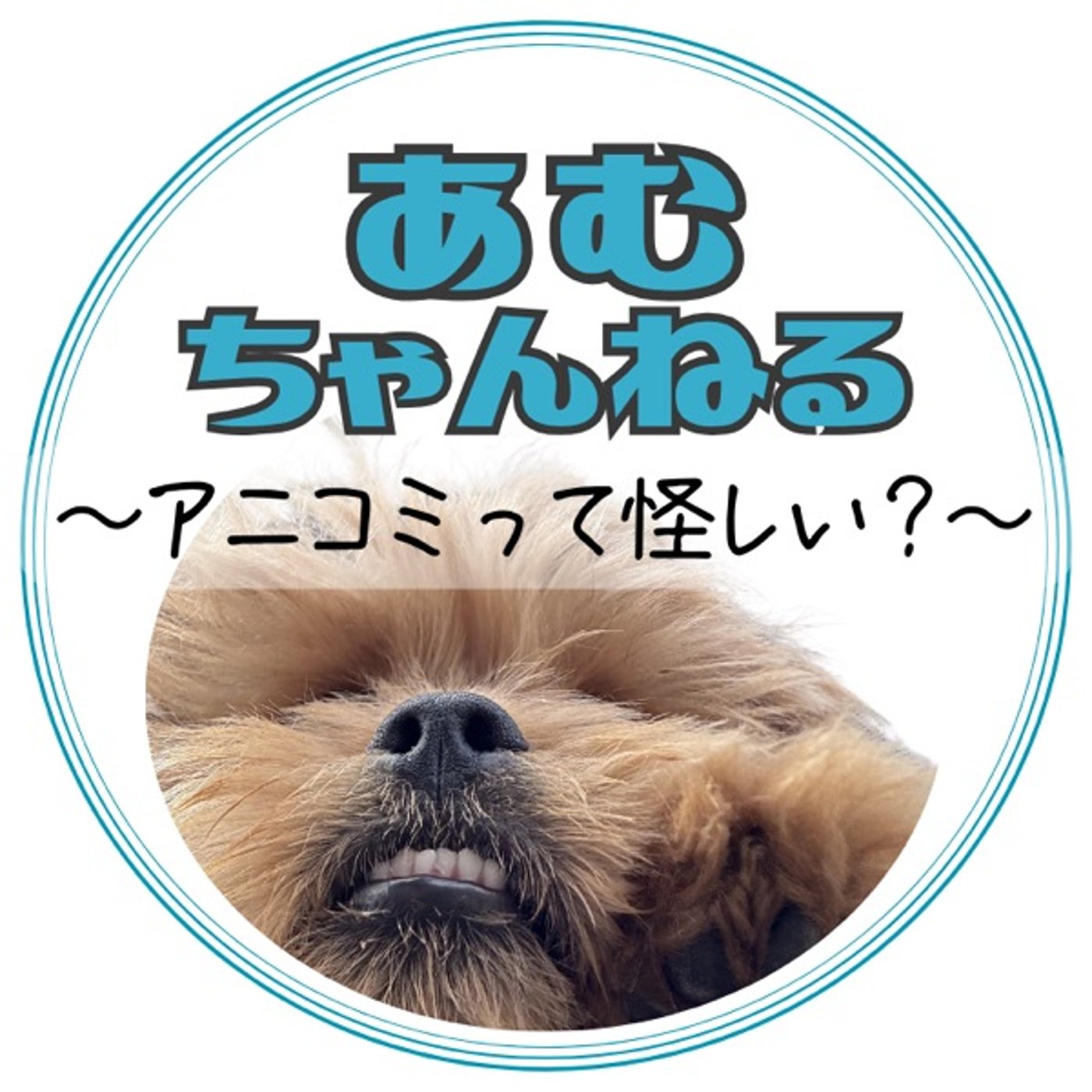 「アニコミって怪しい？」【KIN136】2026.4.24 (#4) episode artwork