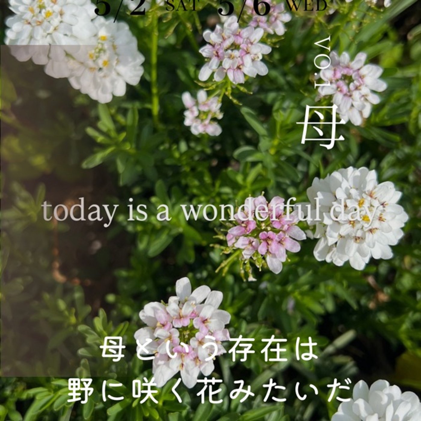 【集客】お金を稼ぐことと自分自身である幸せは＝ではない episode artwork