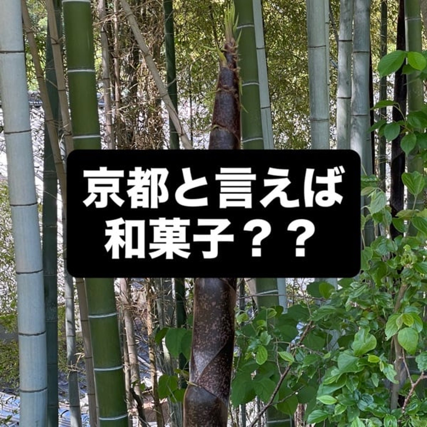 京都と言えば和菓子？？ episode artwork