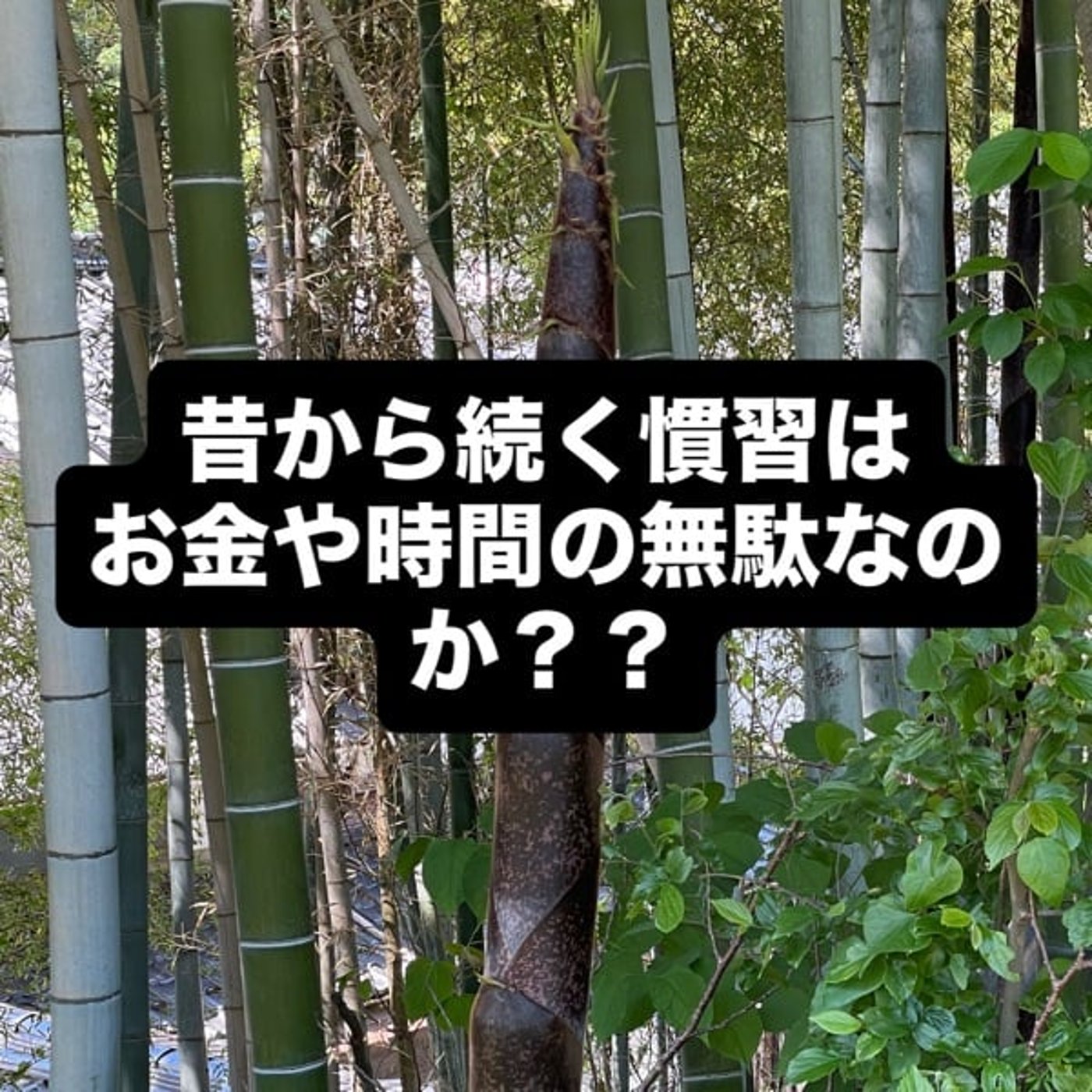 昔から続く慣習はお金や時間の無駄なのか？？ episode artwork