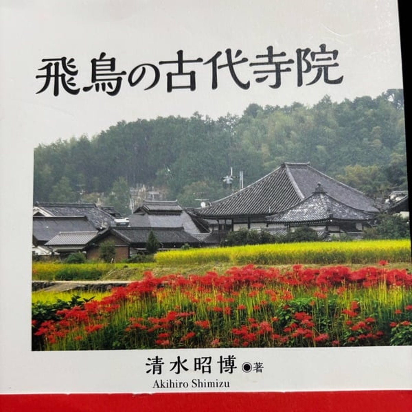 奥明日香天空展望台までの道 episode artwork