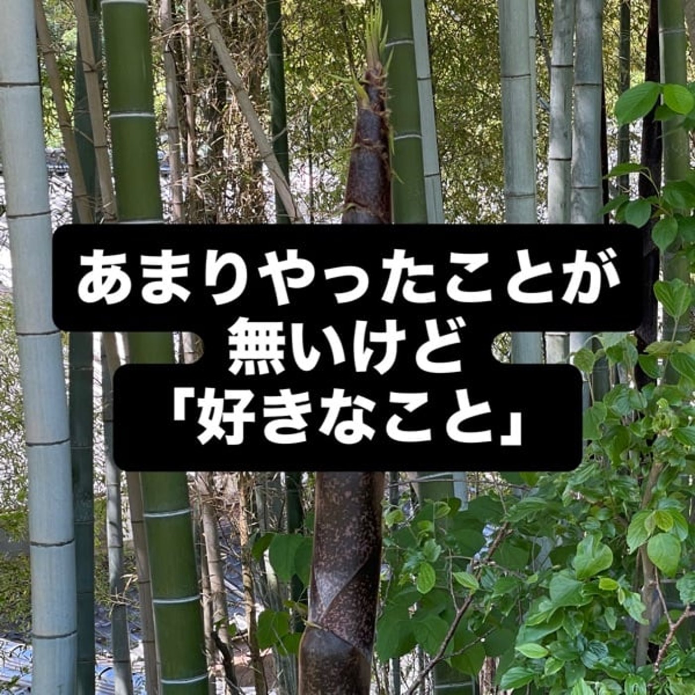 あまりやったことが無いけど「好きなこと」 episode artwork