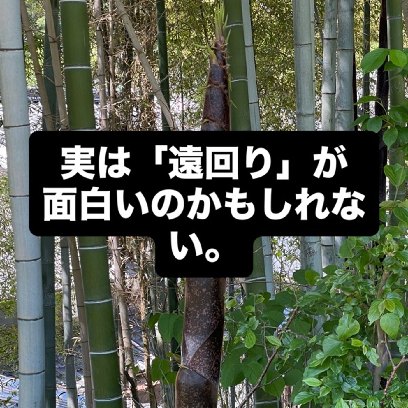 実は「遠回り」が面白いのかもしれない。 episode artwork