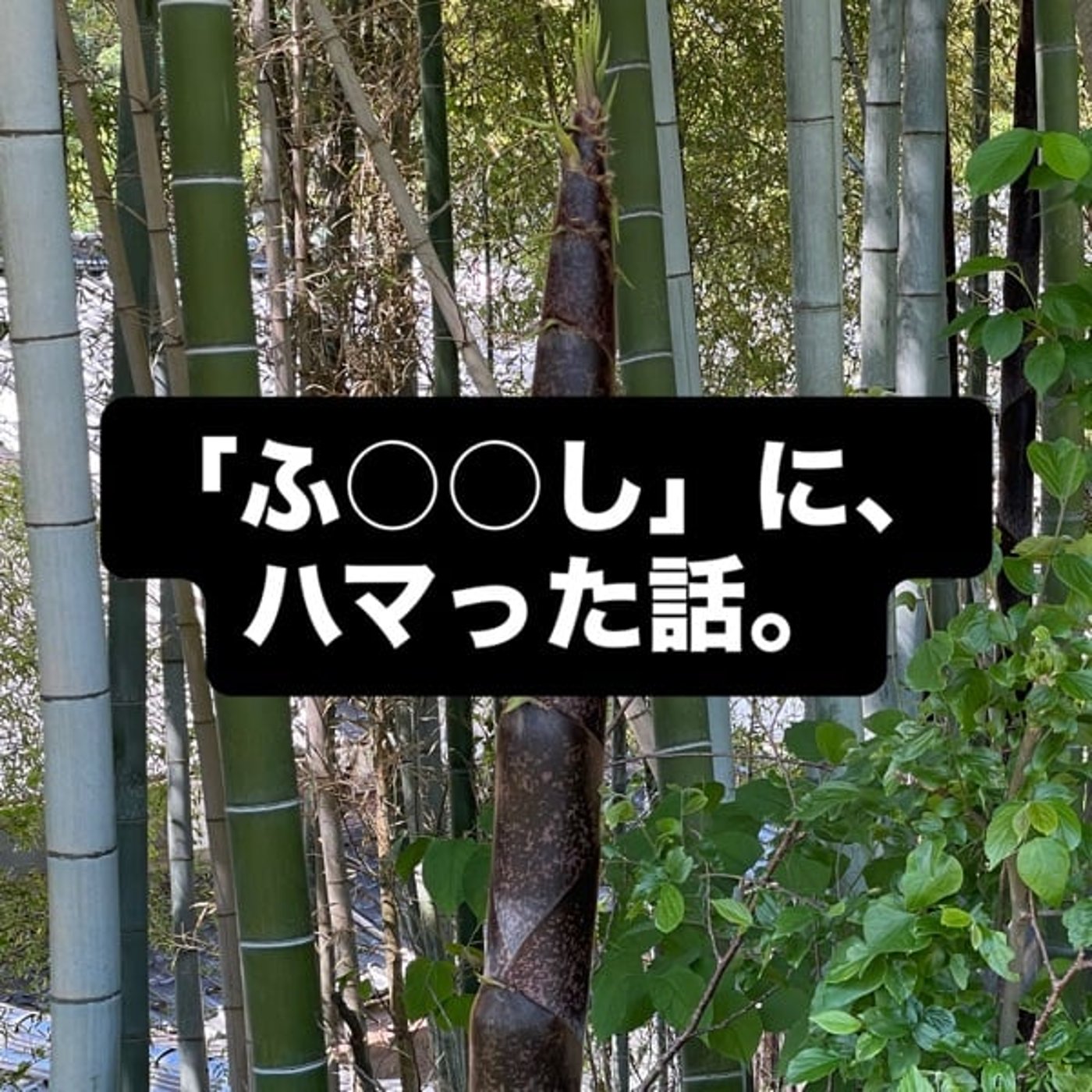 「ふ◯◯し」にハマった話。 episode artwork