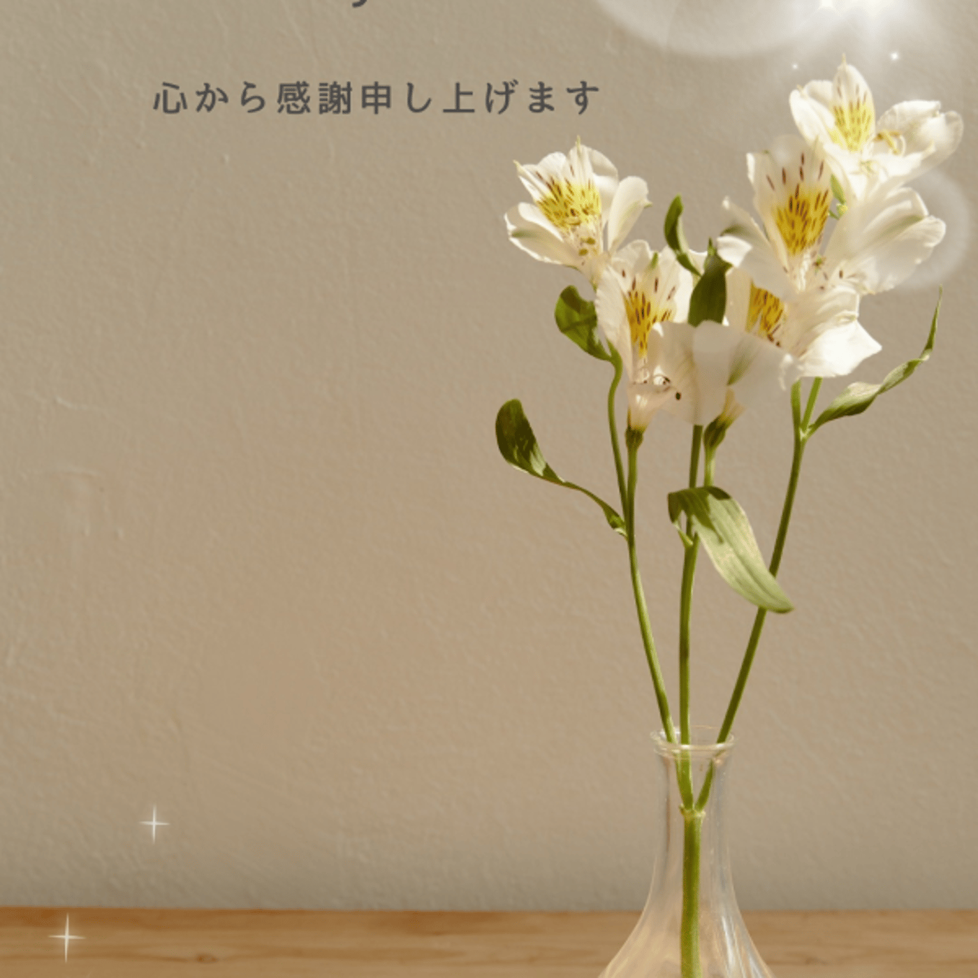 ５周年ありがとうライブ episode artwork