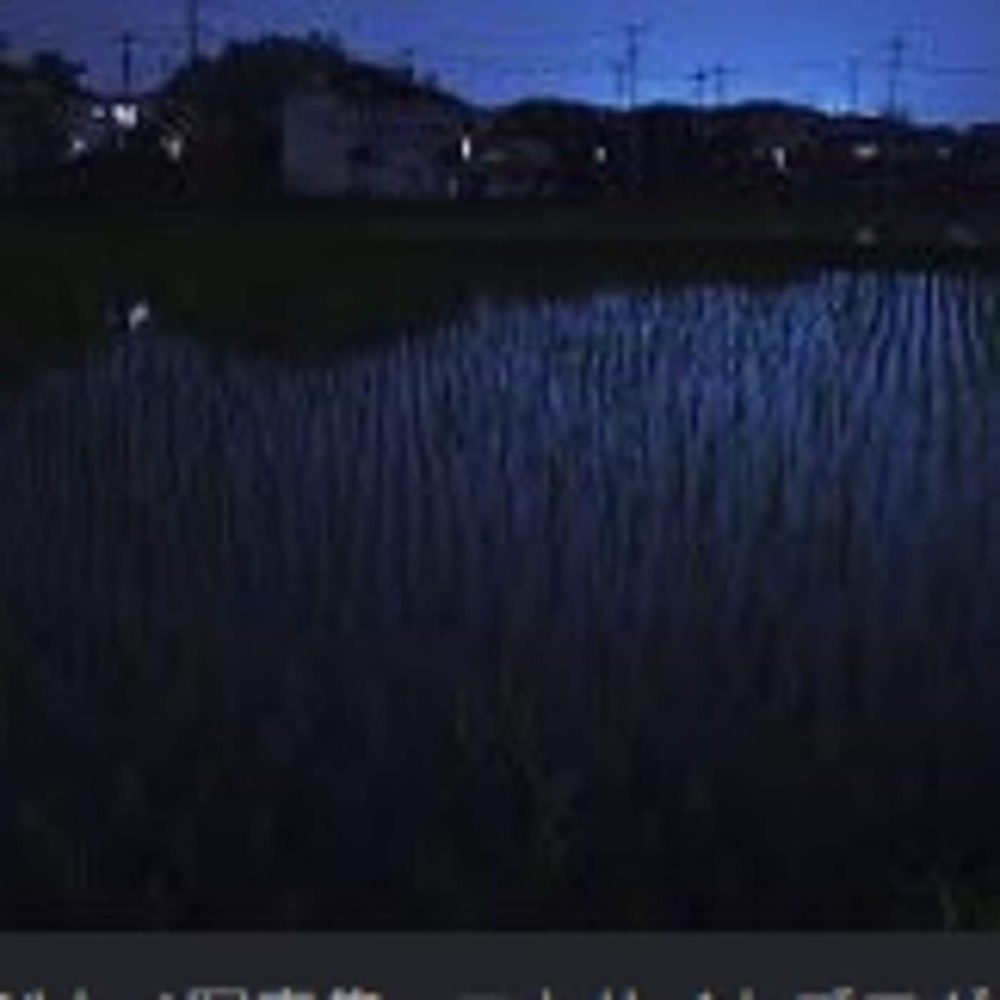 田舎の音：カエル episode artwork