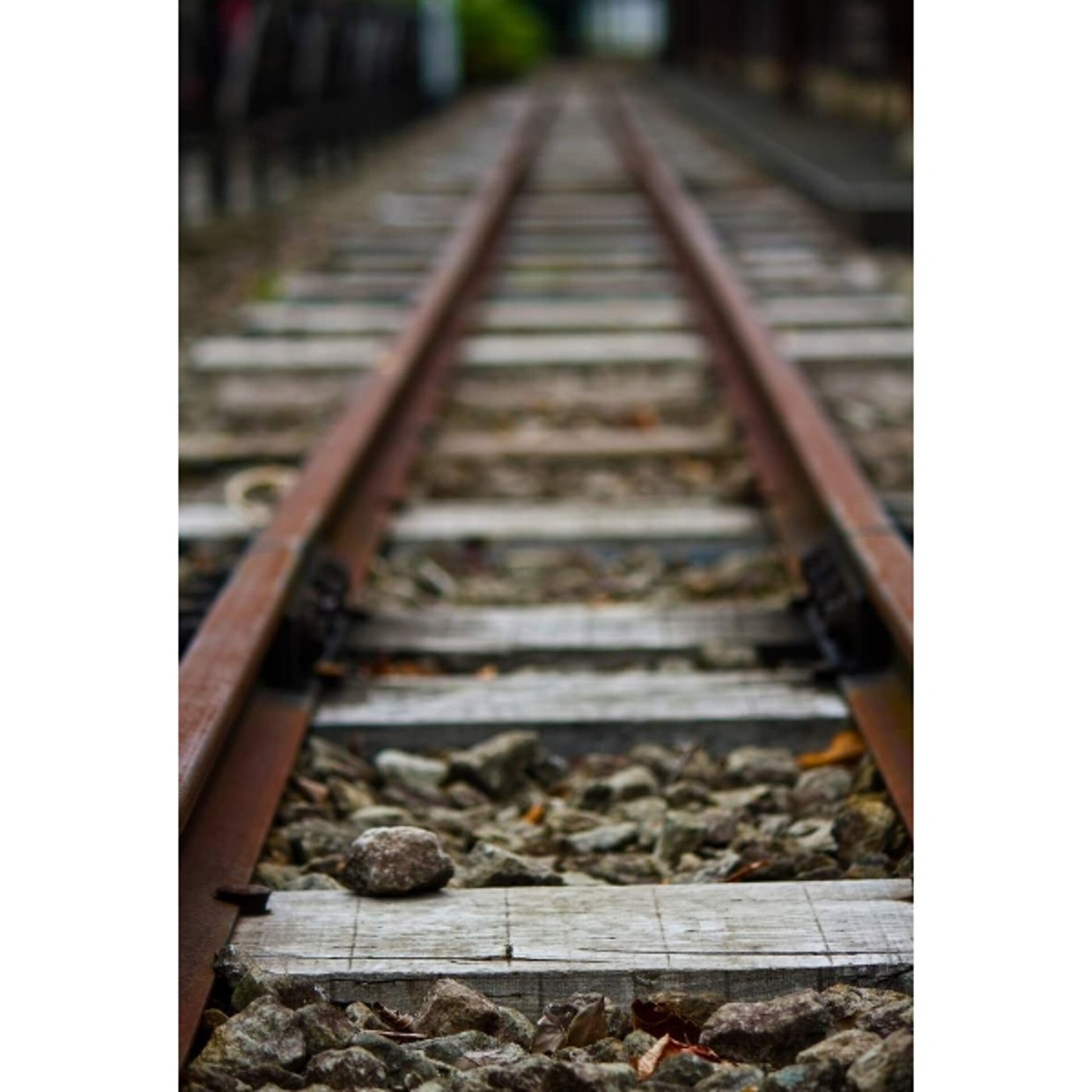 「写真で一言」