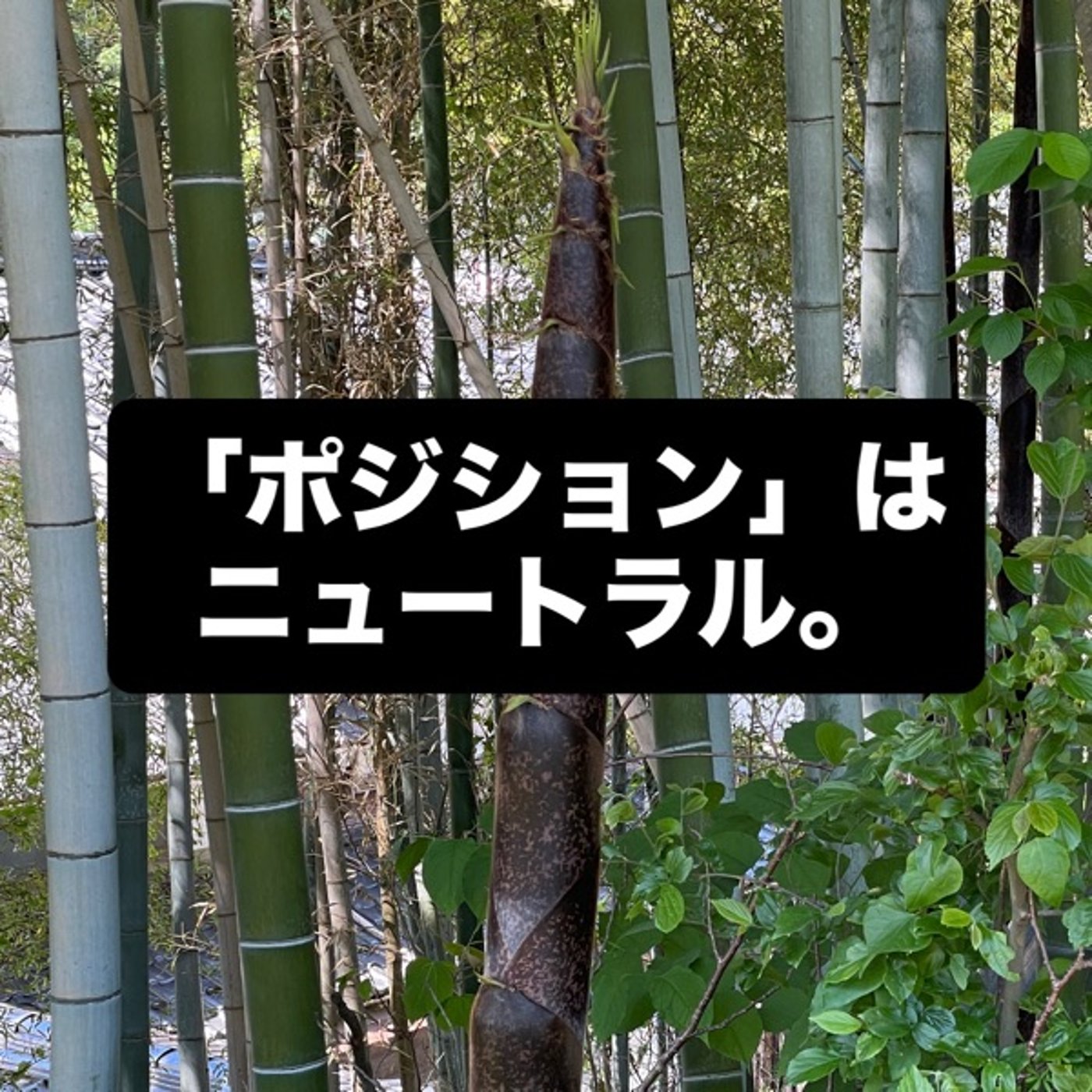 「ポジション」はニュートラル episode artwork
