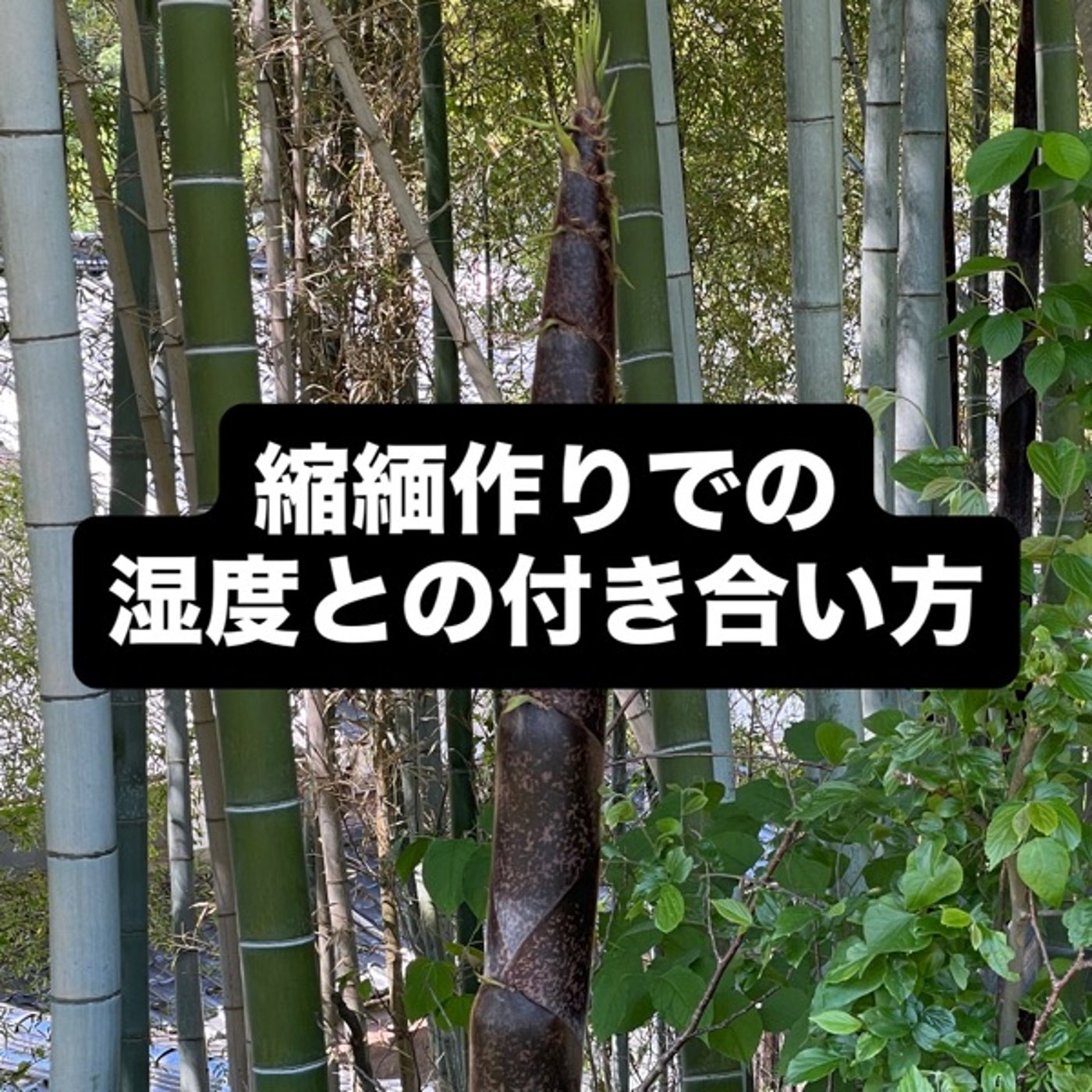 縮緬作りでの湿度との付き合い方 episode artwork
