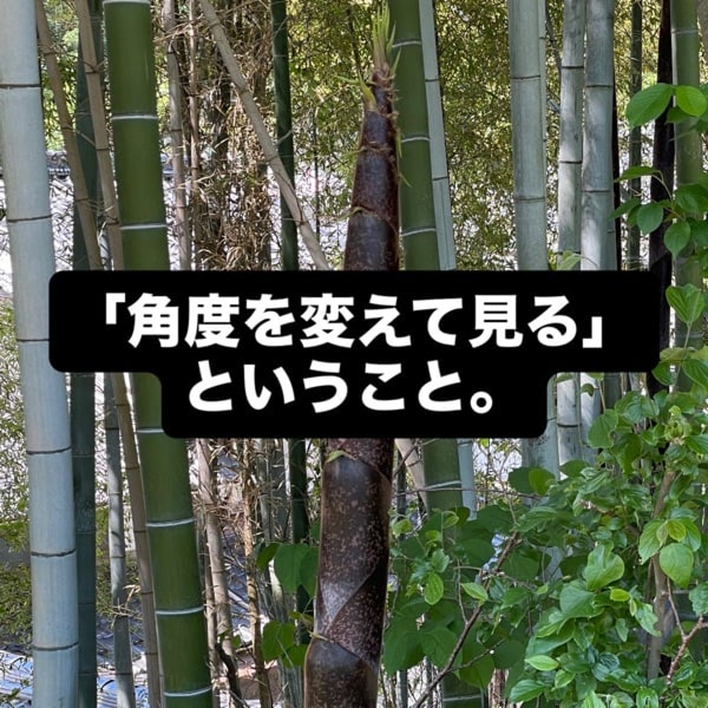 「角度を変えて見る」ということ。 episode artwork