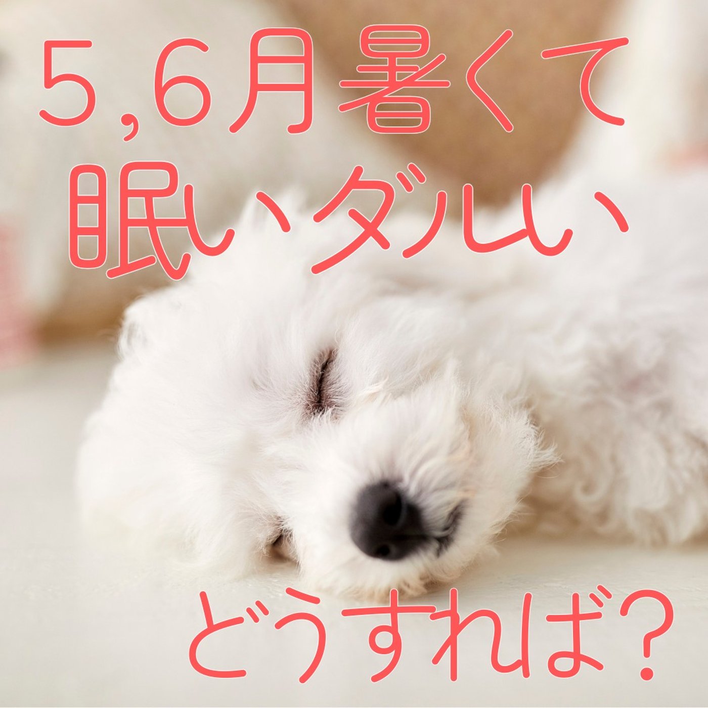 【対策あり】なんか眠い、だるい…5月・６月 あるある、その正体 #505 episode artwork