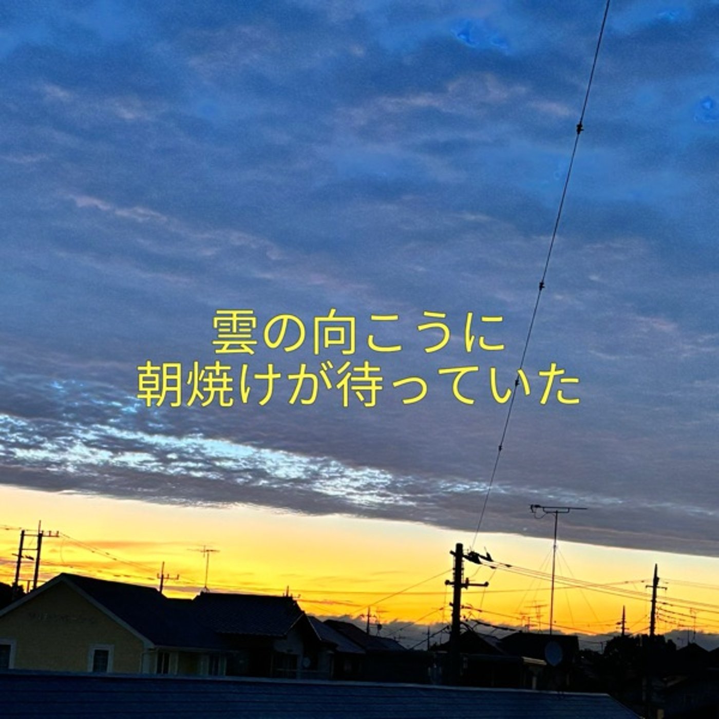 雲の向こうに朝焼けが待っていた｜ブルーマウンテンの意外な話 episode artwork