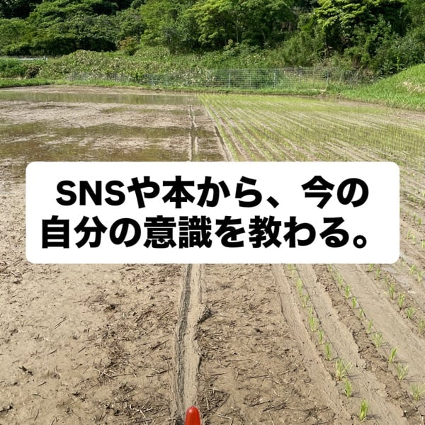 SNSや本から、今の自分の意識を教わる。 episode artwork
