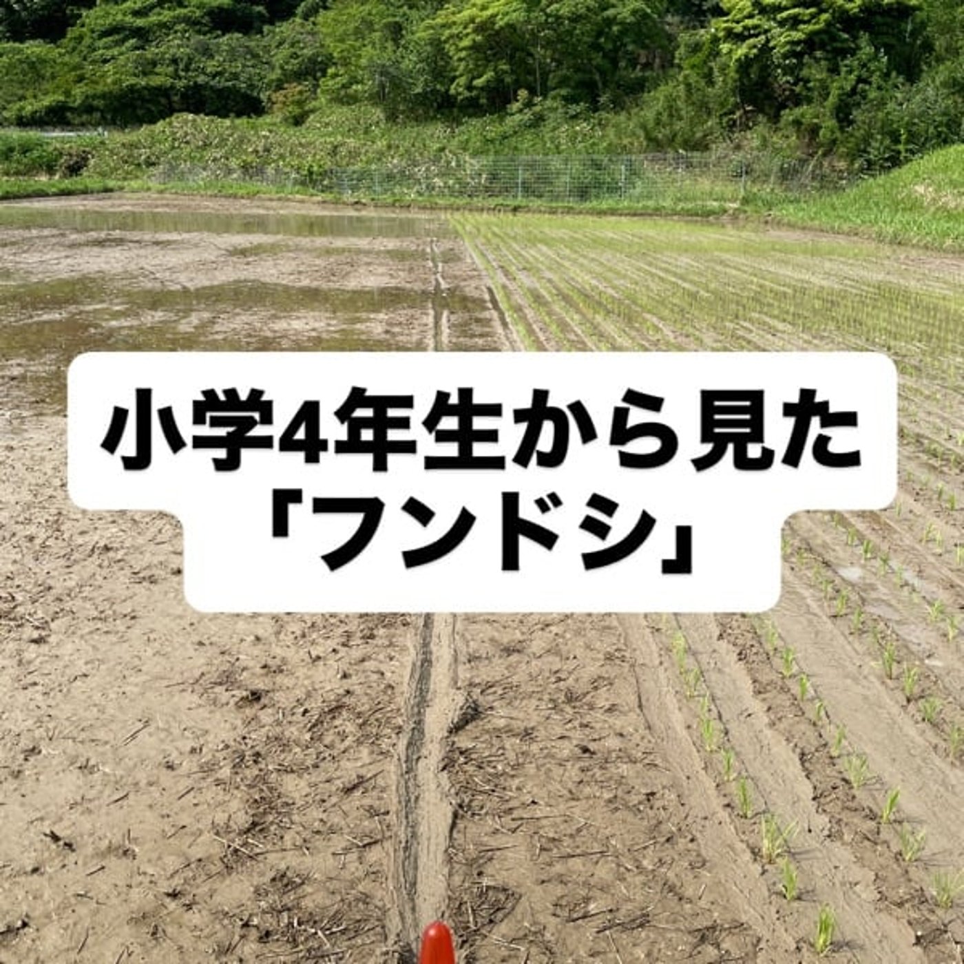 小学4年生から見た「フンドシ」 episode artwork