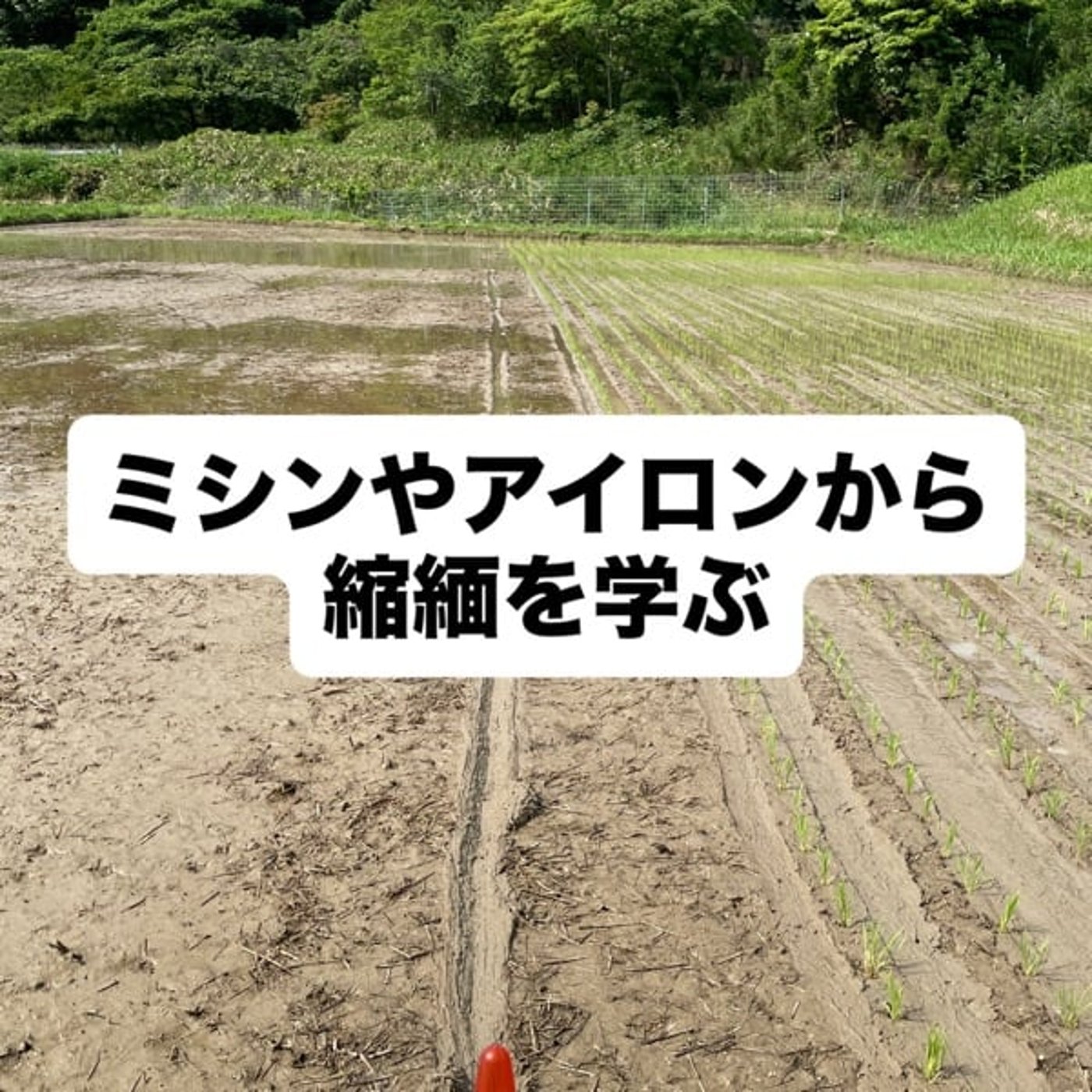 ミシンやアイロンから縮緬を学ぶ episode artwork
