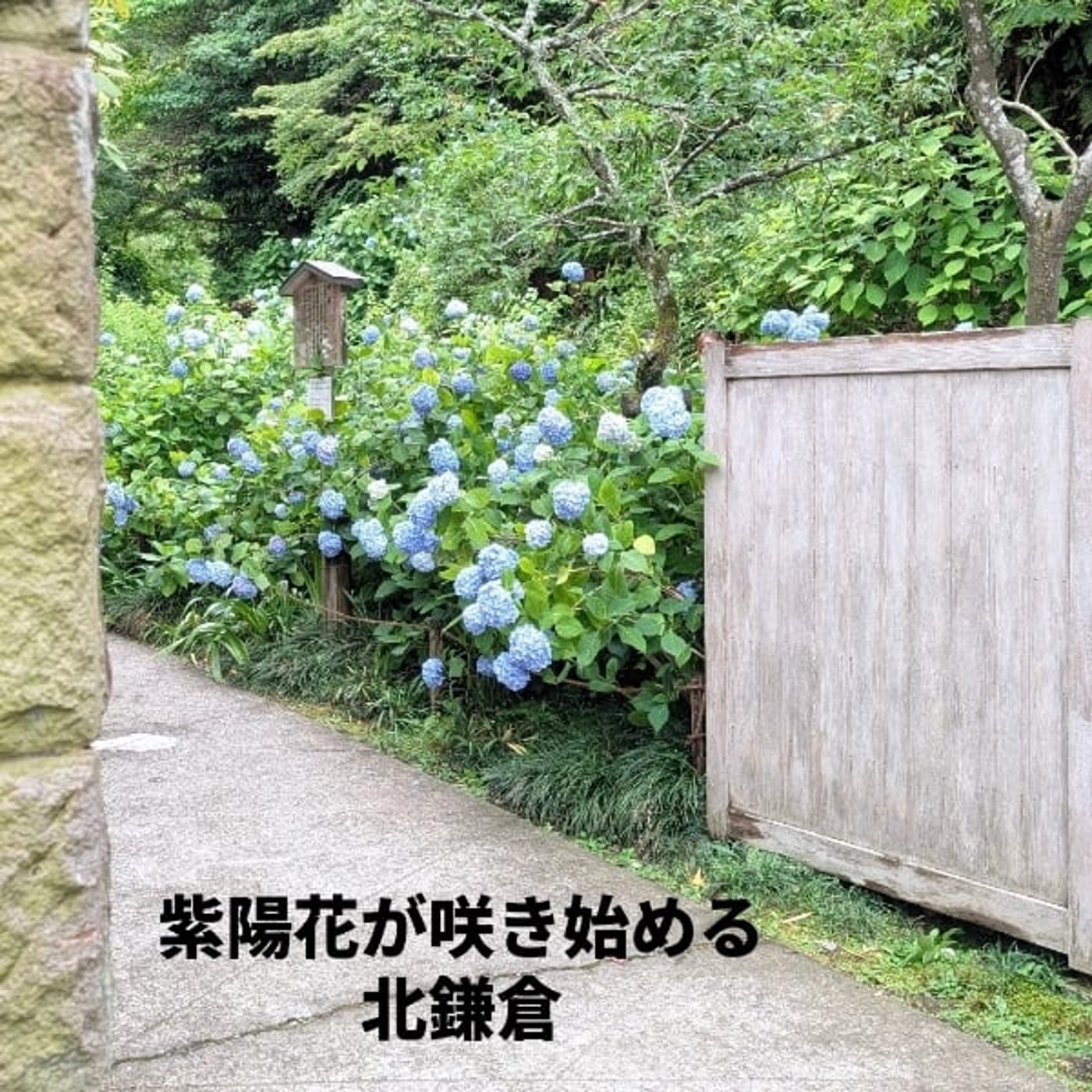 やりたいことを形にしていくコモフの鎌倉遠足 episode artwork