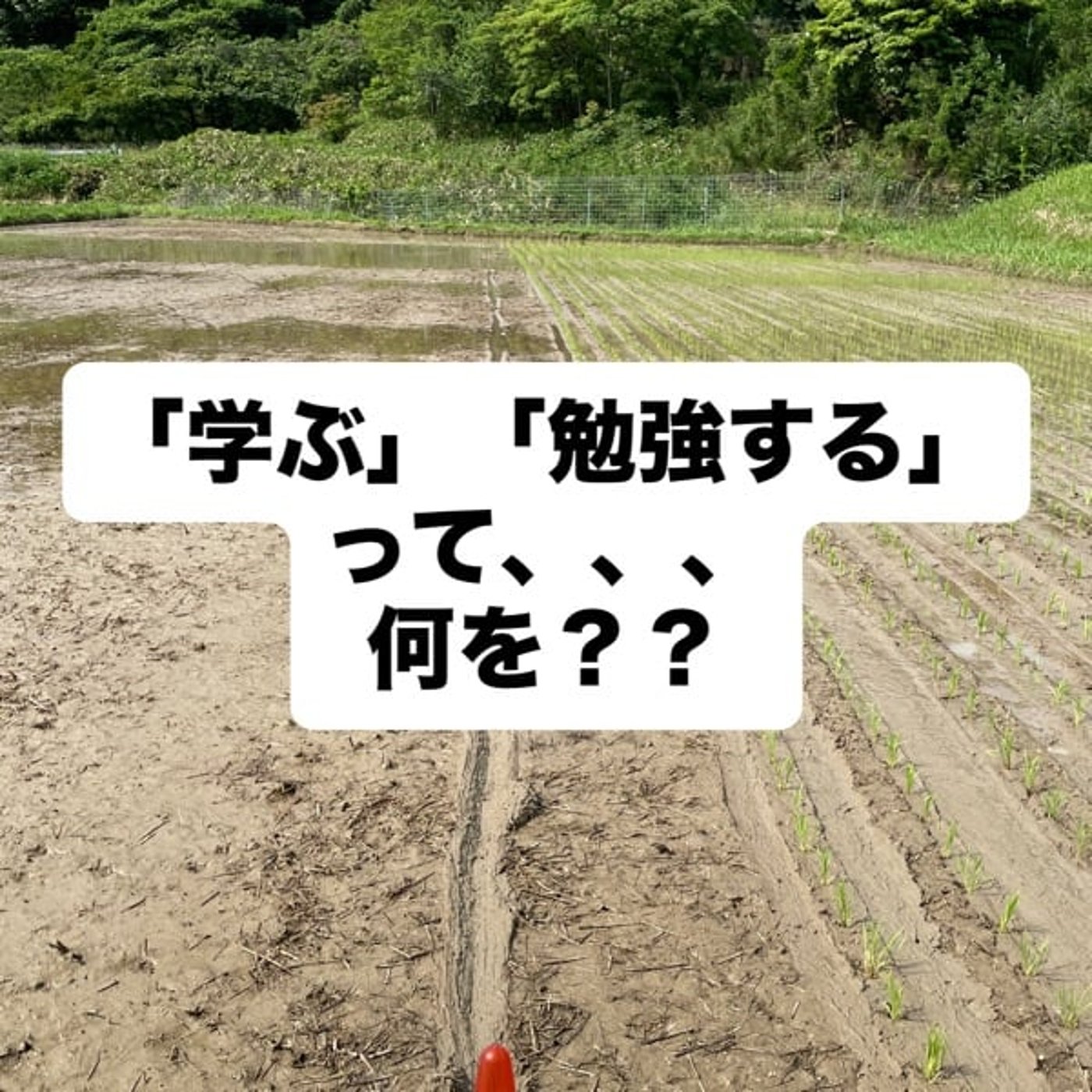 「学ぶ」「勉強する」って、、、何を？？ episode artwork
