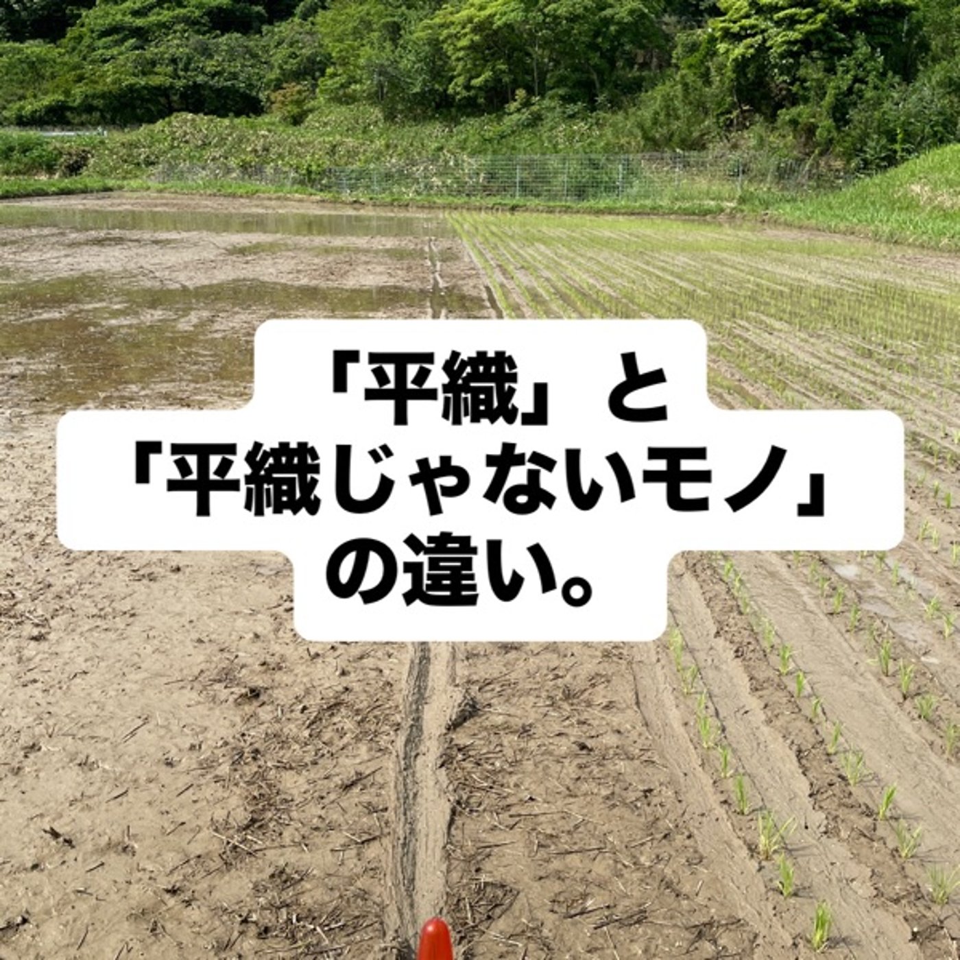 「平織」と「平織じゃないモノ」の違い。 episode artwork