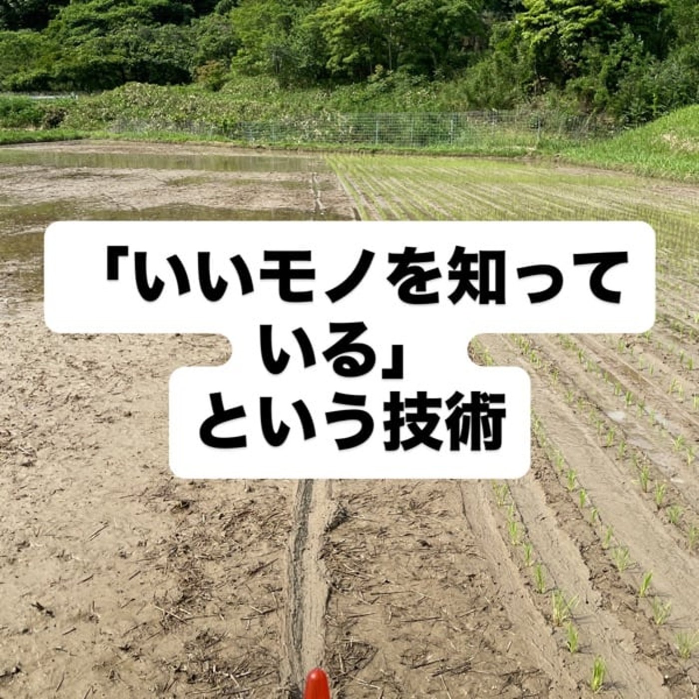 「いいモノを知っている」という技術」 episode artwork