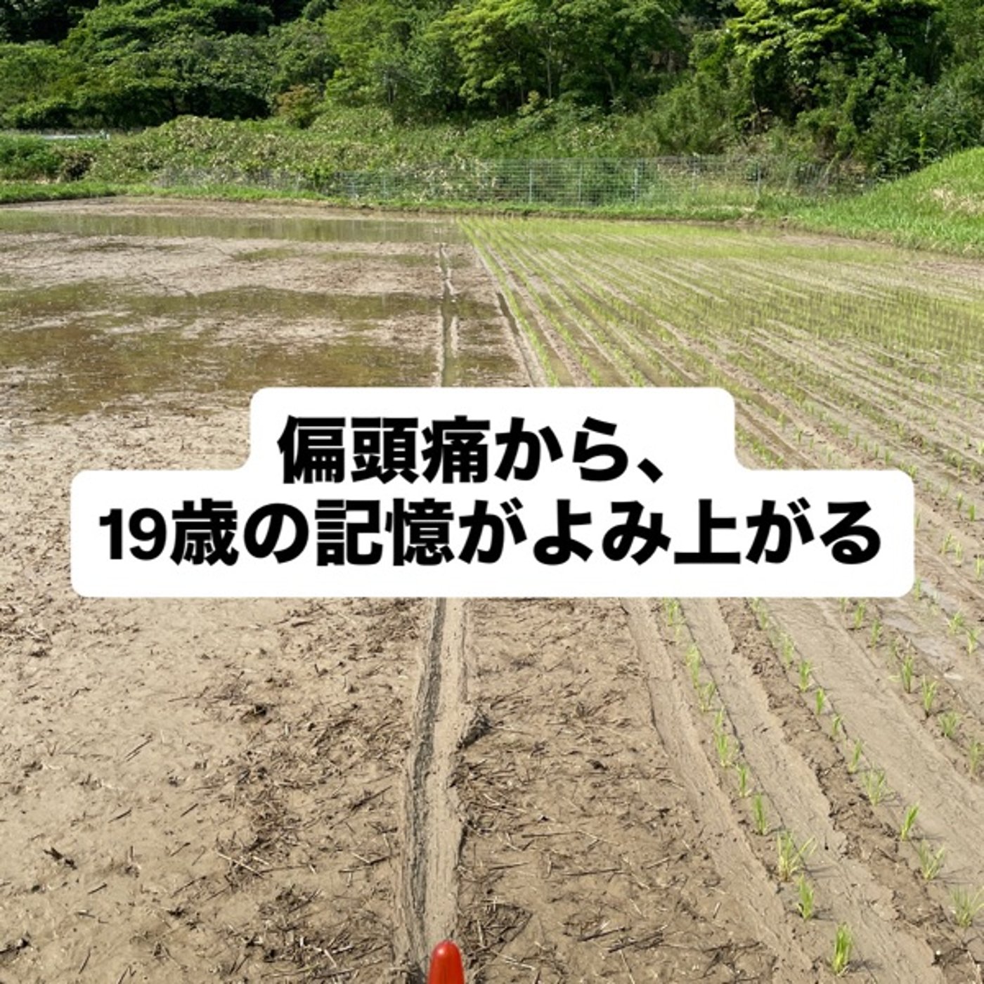 偏頭痛から、19歳の記憶がよみ上がる episode artwork