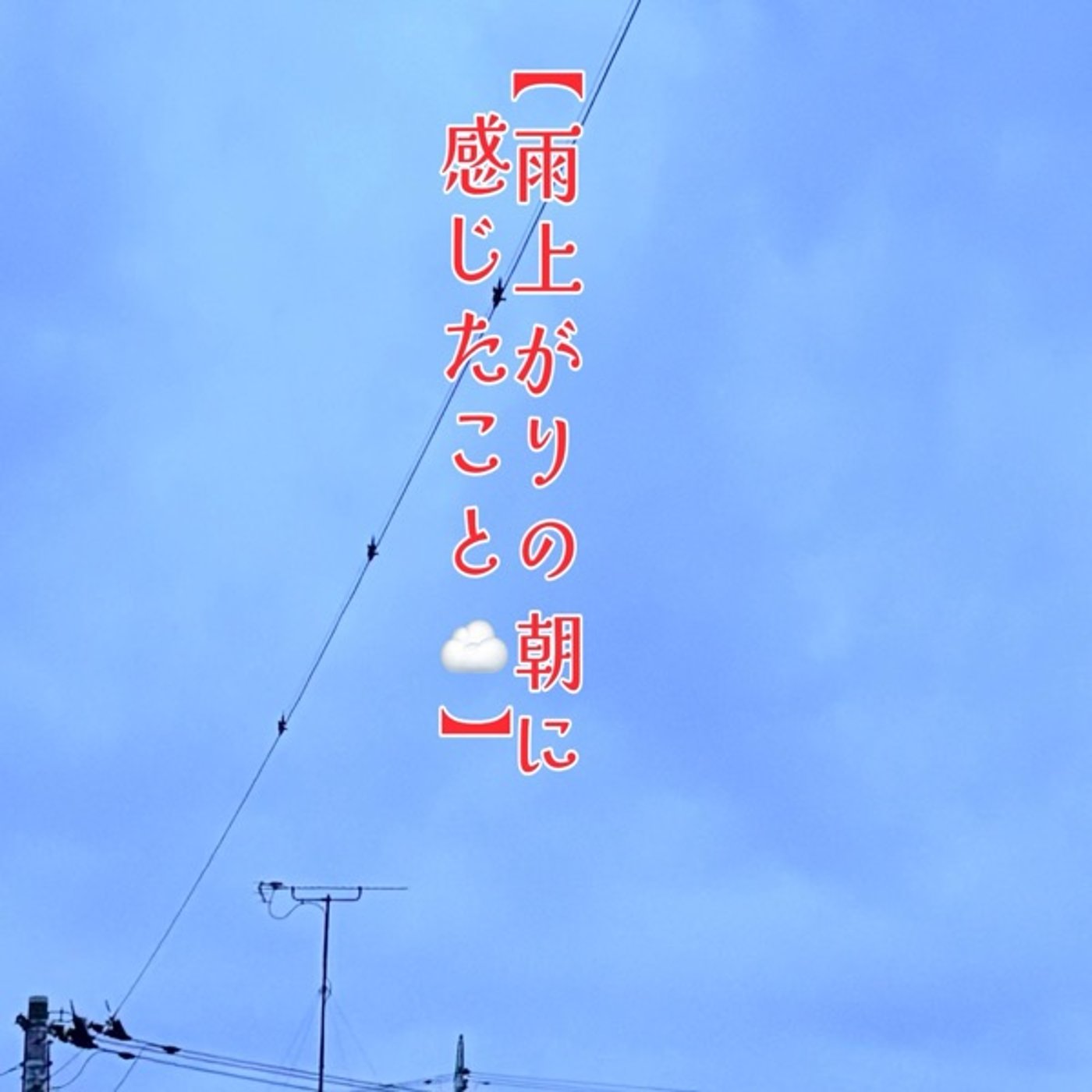 雨上がりの月曜日、空から教わったこと☁️☕️ episode artwork