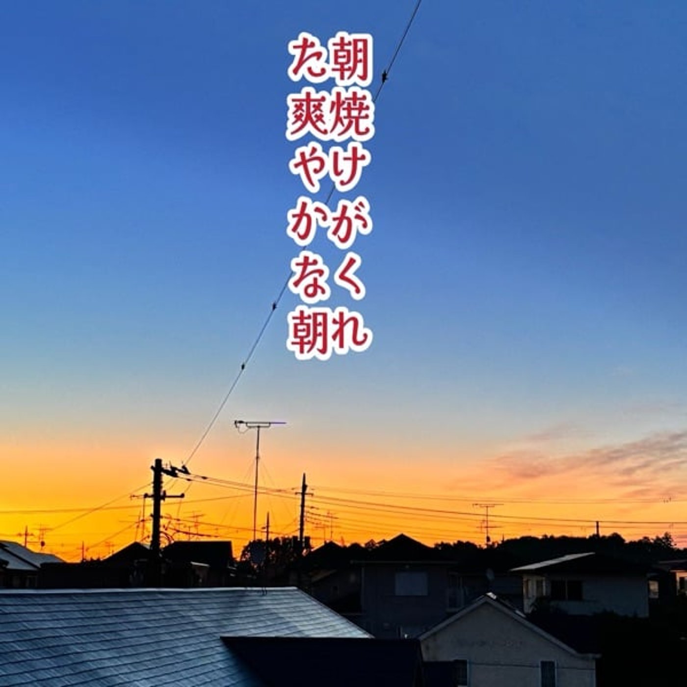 朝焼けと小鳥たちの独唱会からもらった元気 episode artwork
