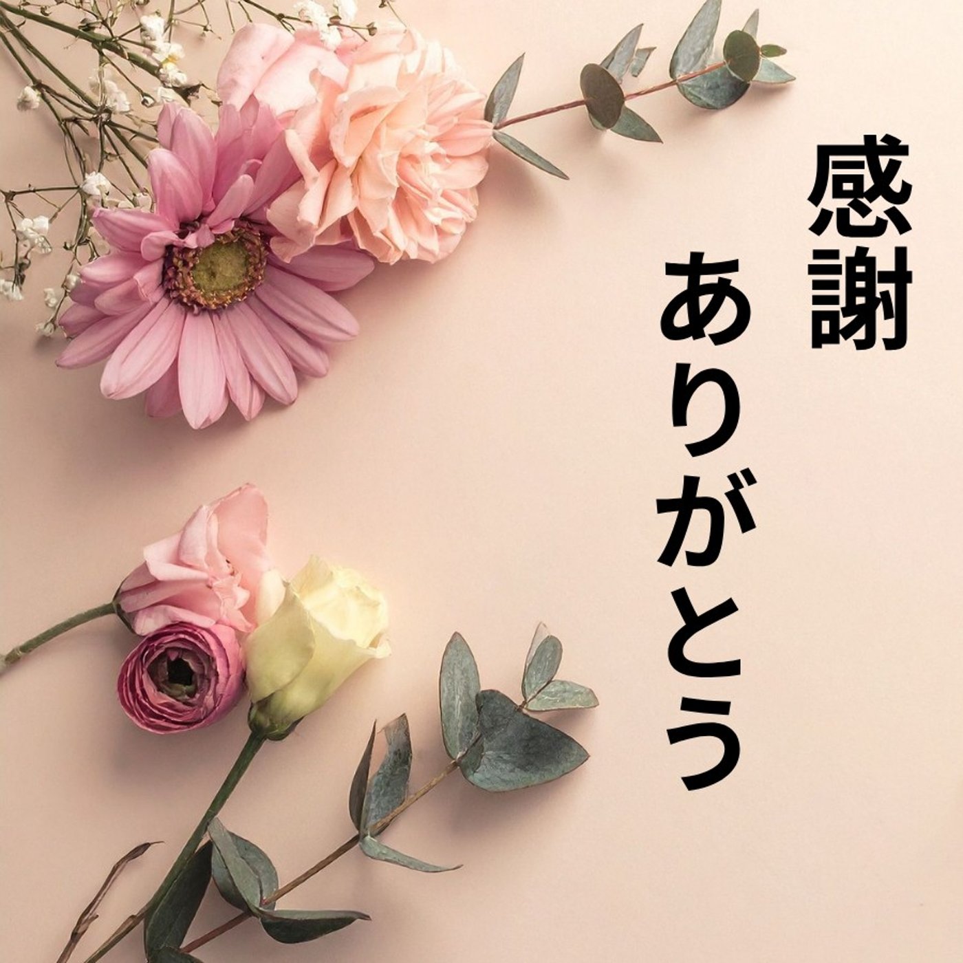 #1762【感謝】明日目覚める保証はどこにもない episode artwork