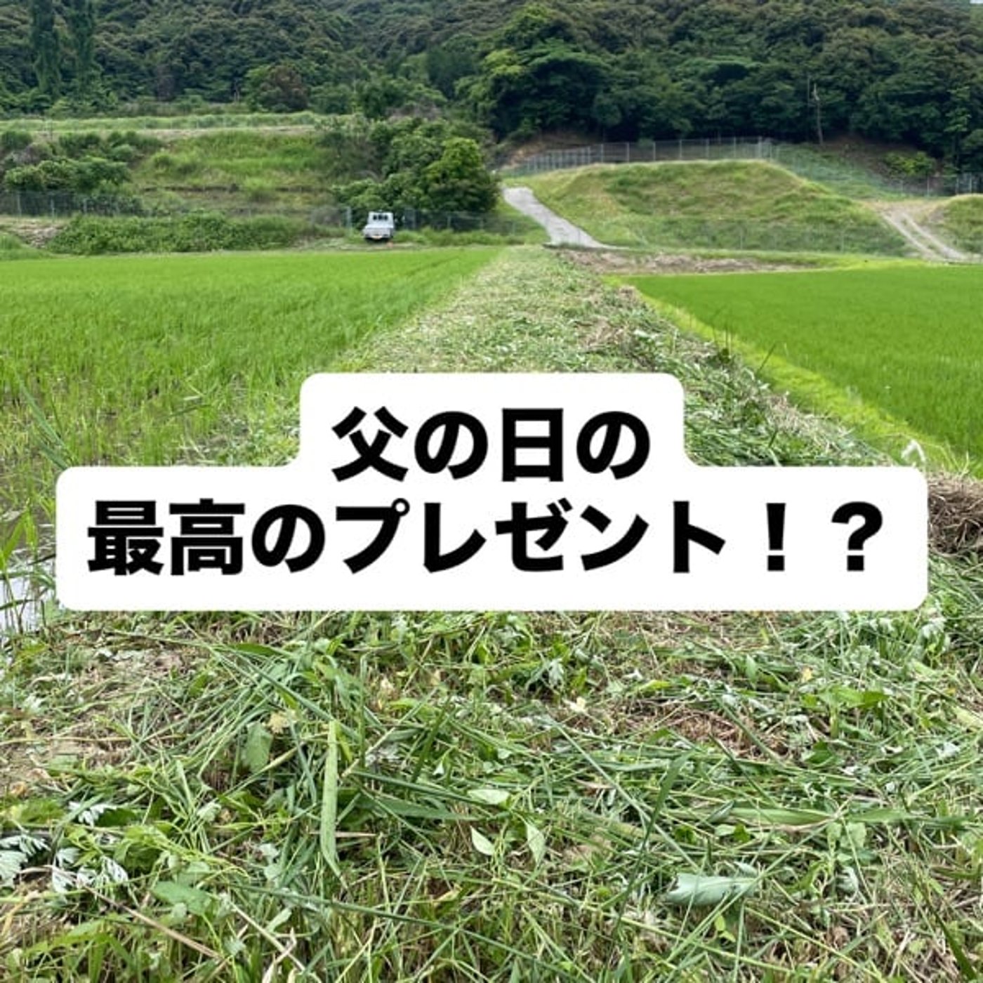 父の日の最高のプレゼント！？ episode artwork