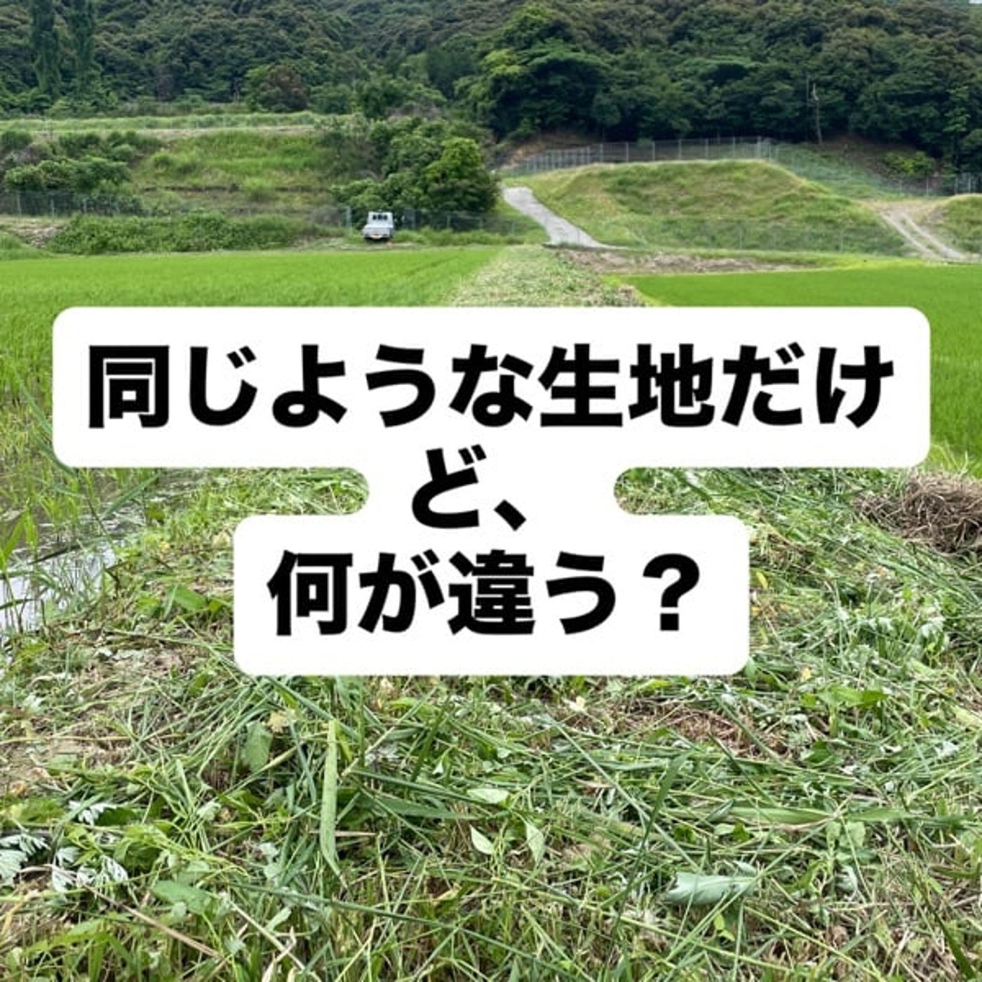 同じような生地だけど、何が違う？ episode artwork