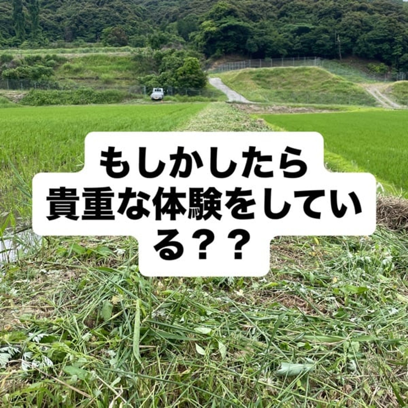 もしかしたら、貴重な体験をしている？？ episode artwork
