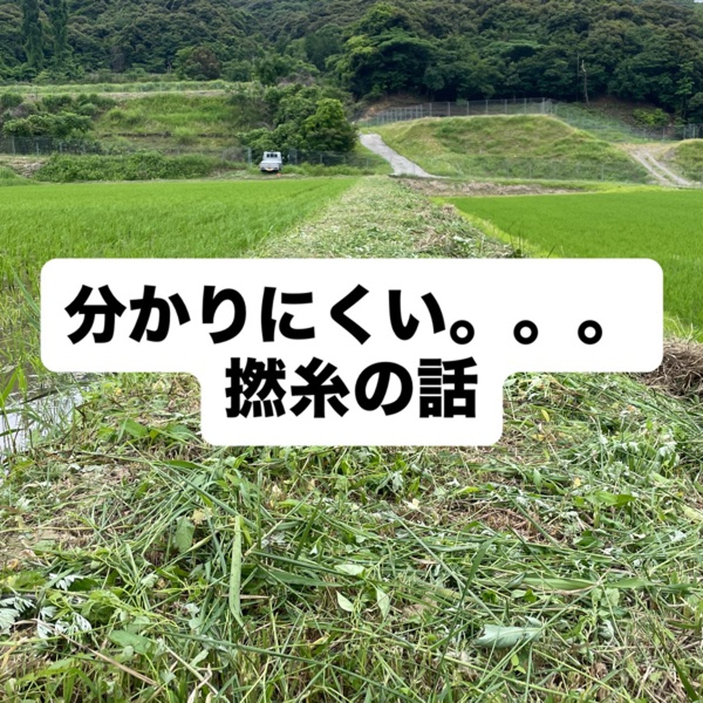 分かりにくい。。。撚糸の話 episode artwork