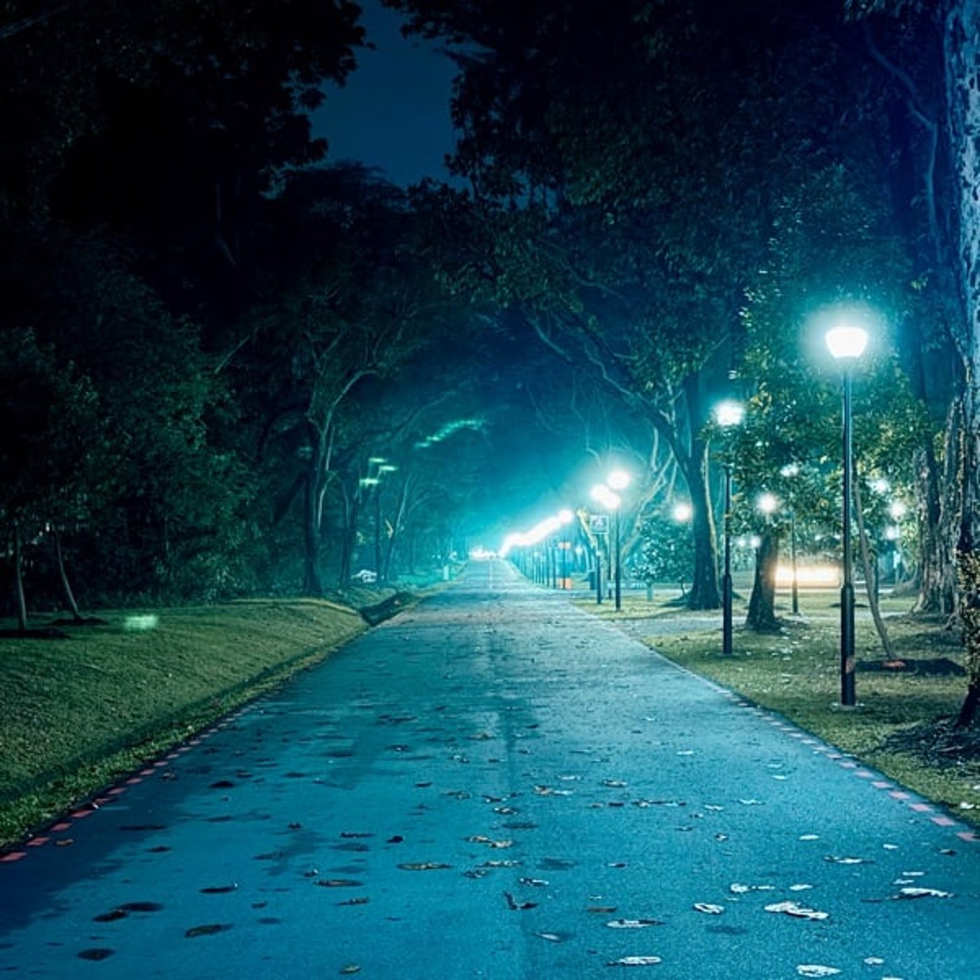 #019 木場公園から｜夜は優しい episode artwork
