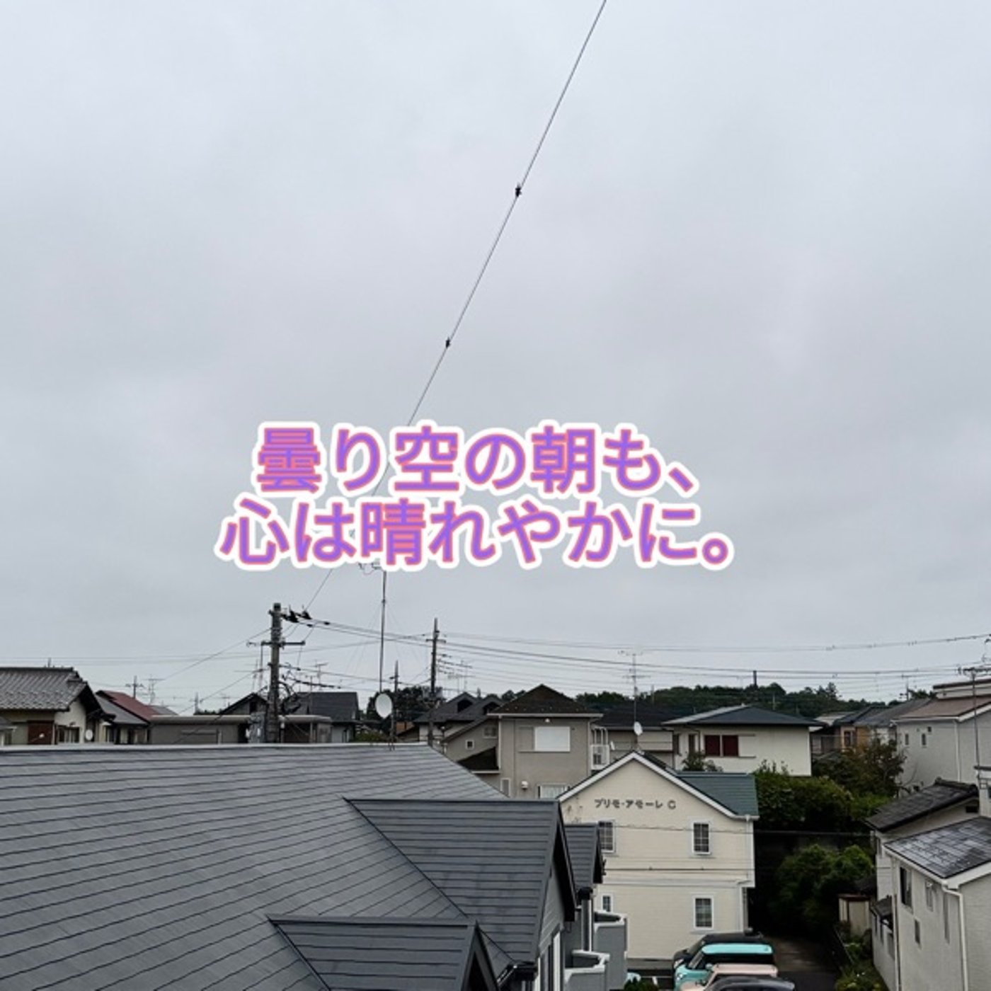 365日・朝焼け×1分で聴くコーヒー教室【第13回】「コーヒーの木は何年で実がな episode artwork