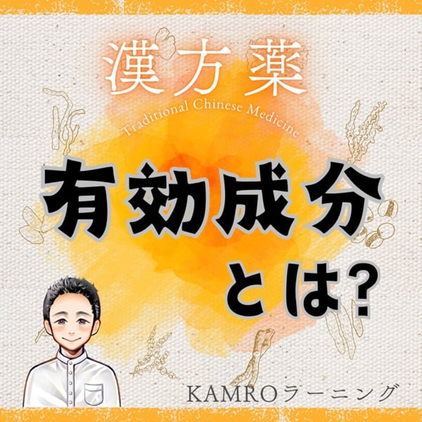 【漢方薬】漢方薬の有効成分とは？ episode artwork