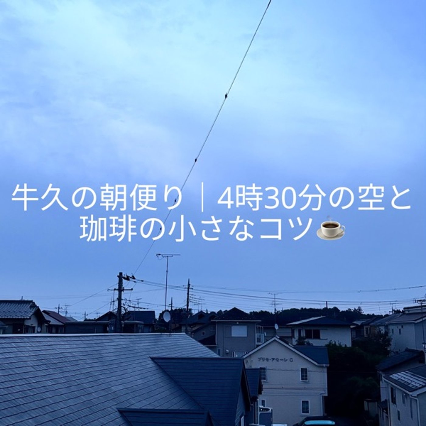 珈琲の粉は、なぜ平らにするの？☕️ episode artwork