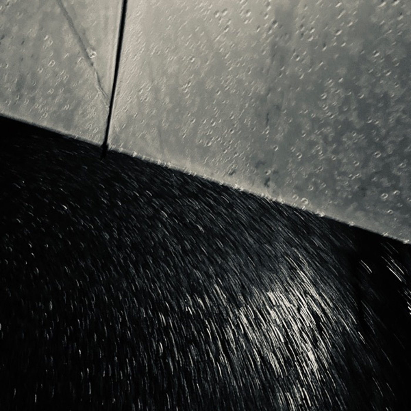 ....ネヲ、神林ラヂヲ____________138 episode artwork