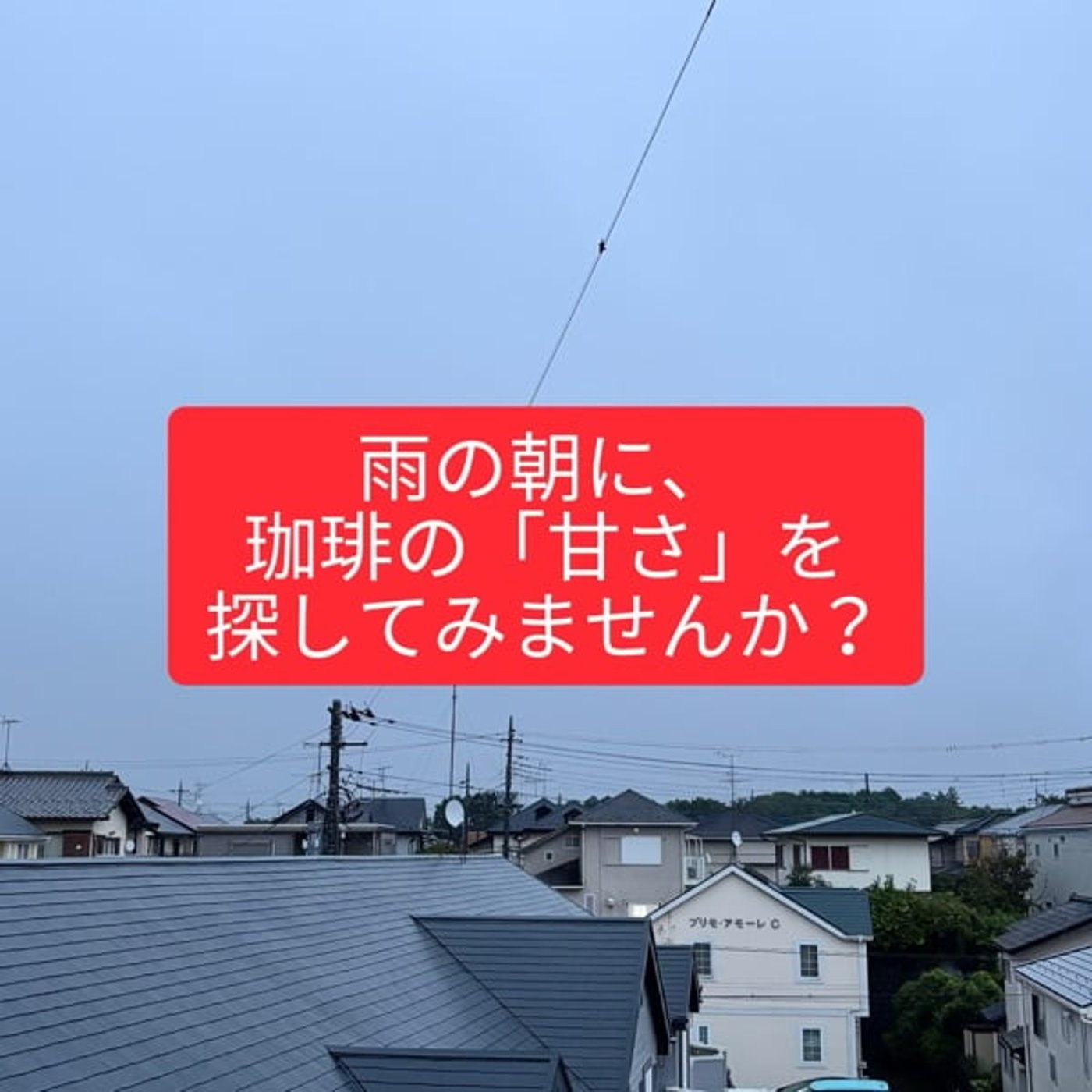 雨の朝に考える「珈琲の甘さ」☕️｜ブラックなのに甘く感じる理由 episode artwork
